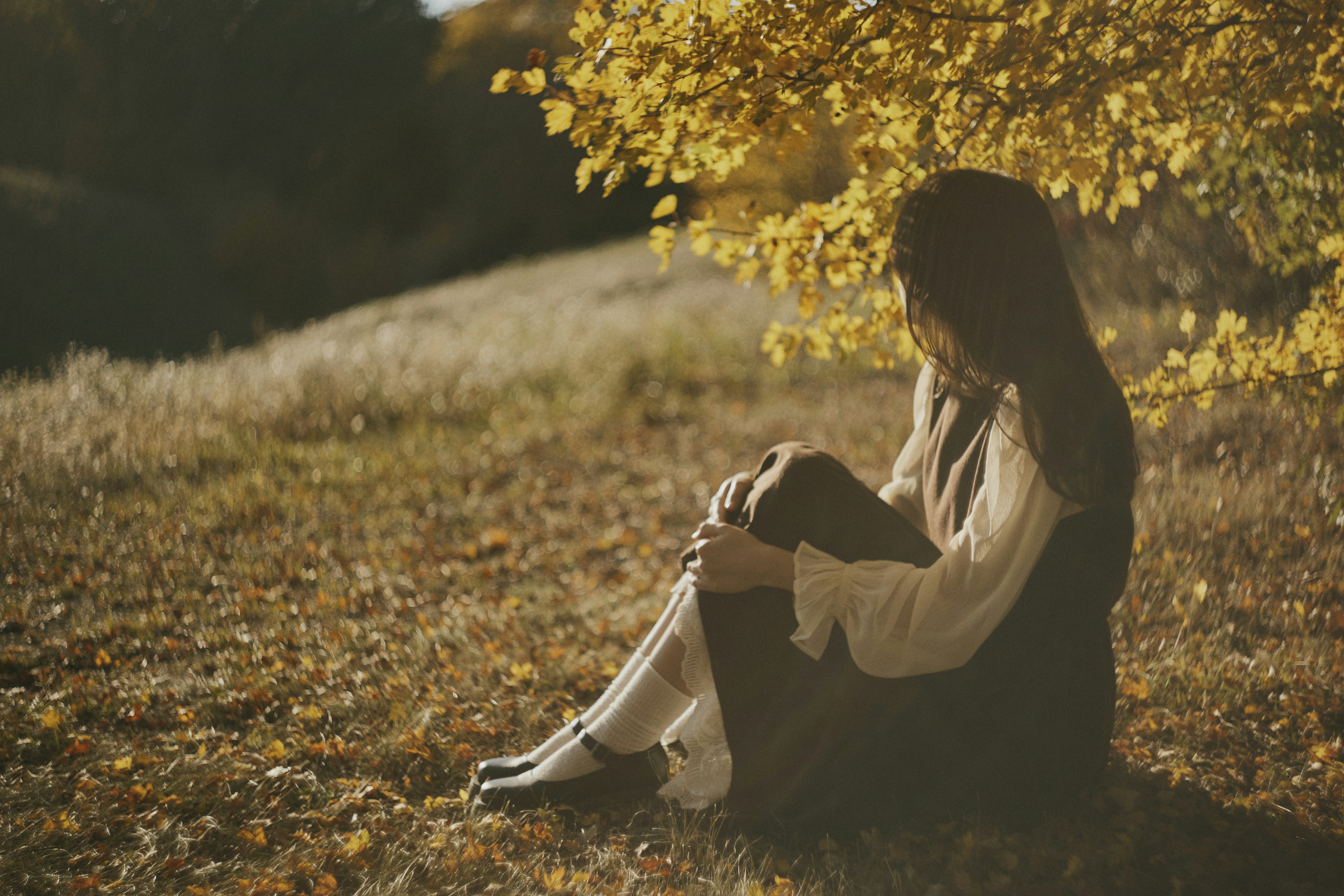 A woman sitting on a grassy hillside under a tree with golden autumn leaves