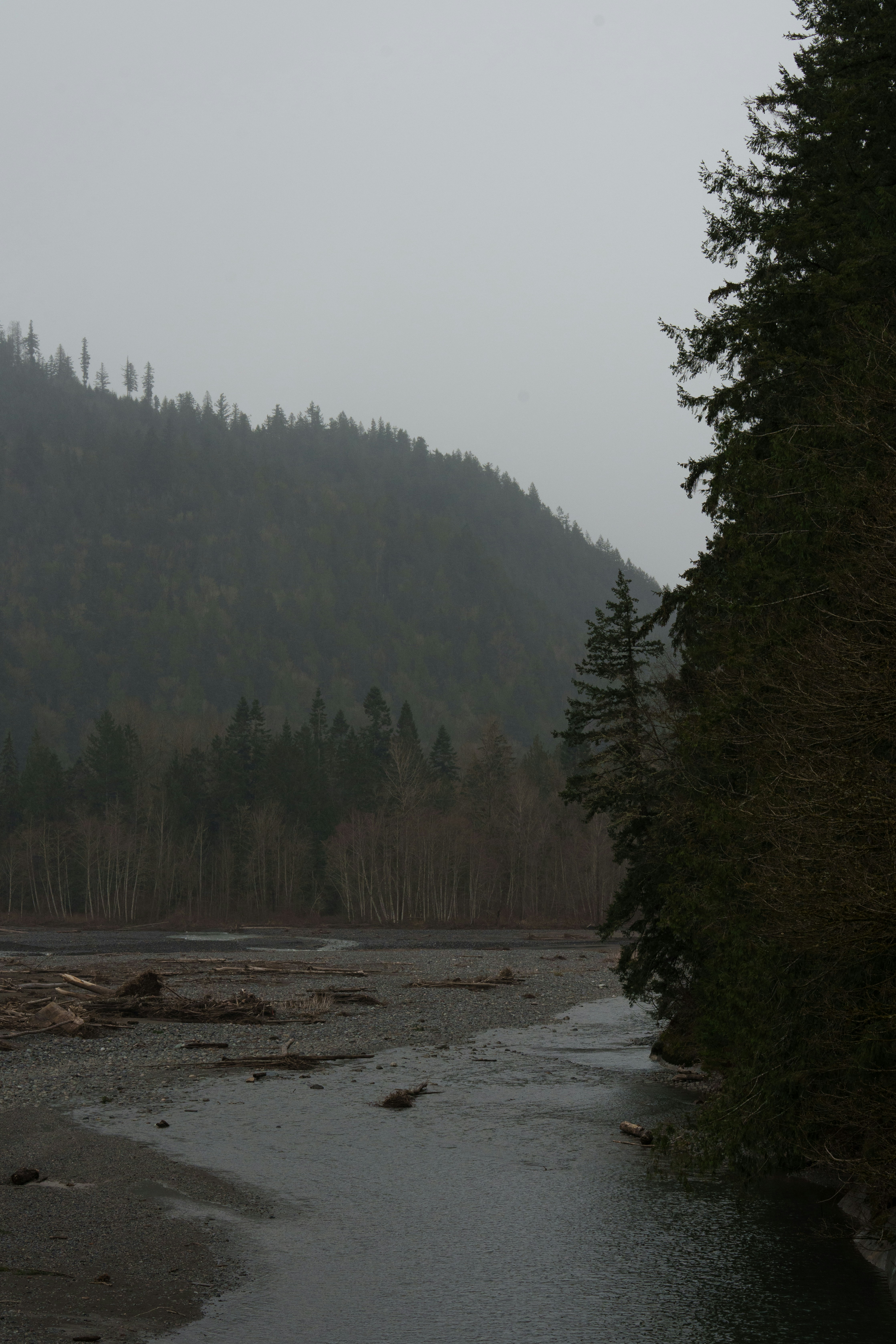 Rivière qui coule le long du versant forestier de la montagne - Photo ...
