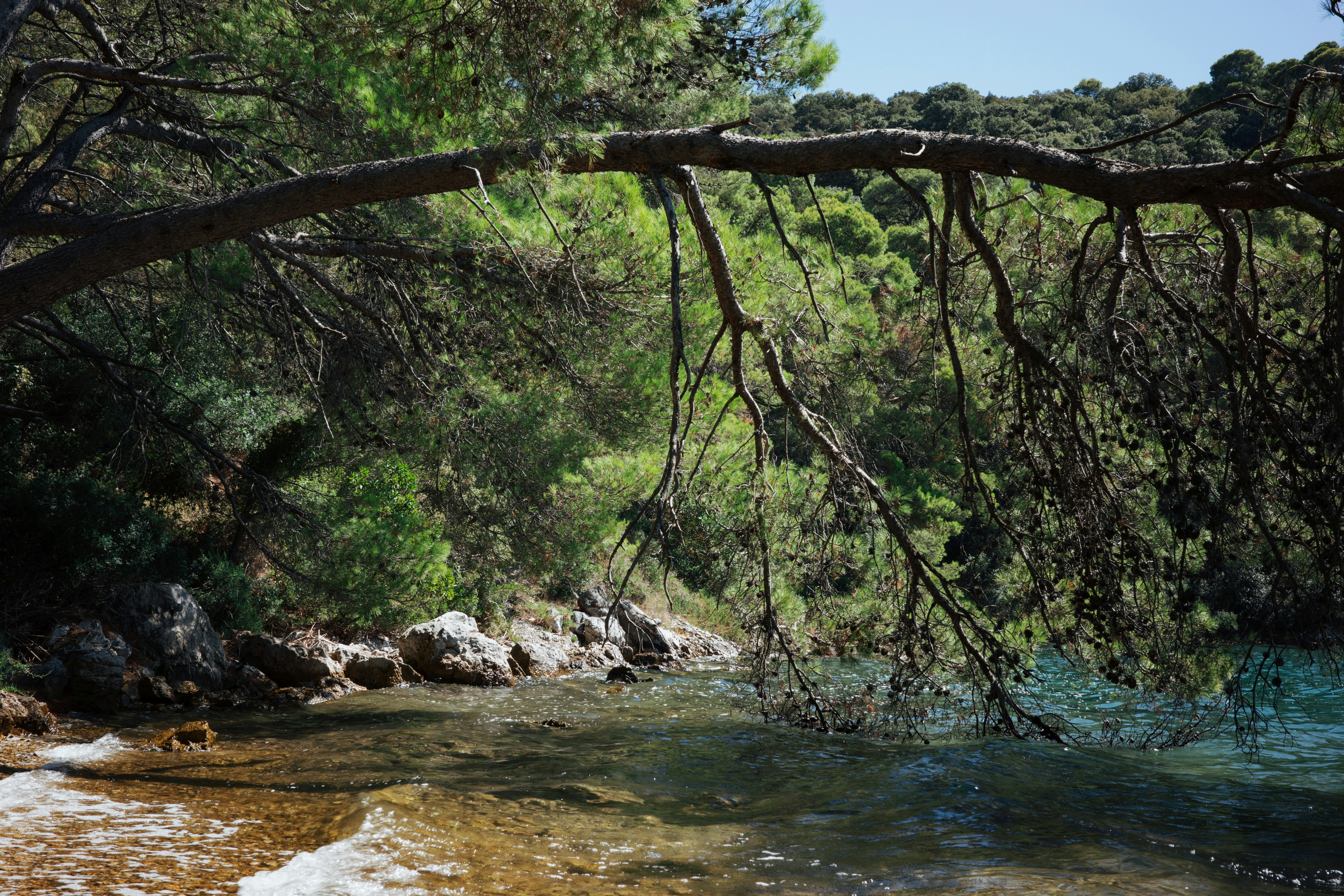 Forêts méditerranéennes et pêche artisanale : les chantiers méconnus du Maroc