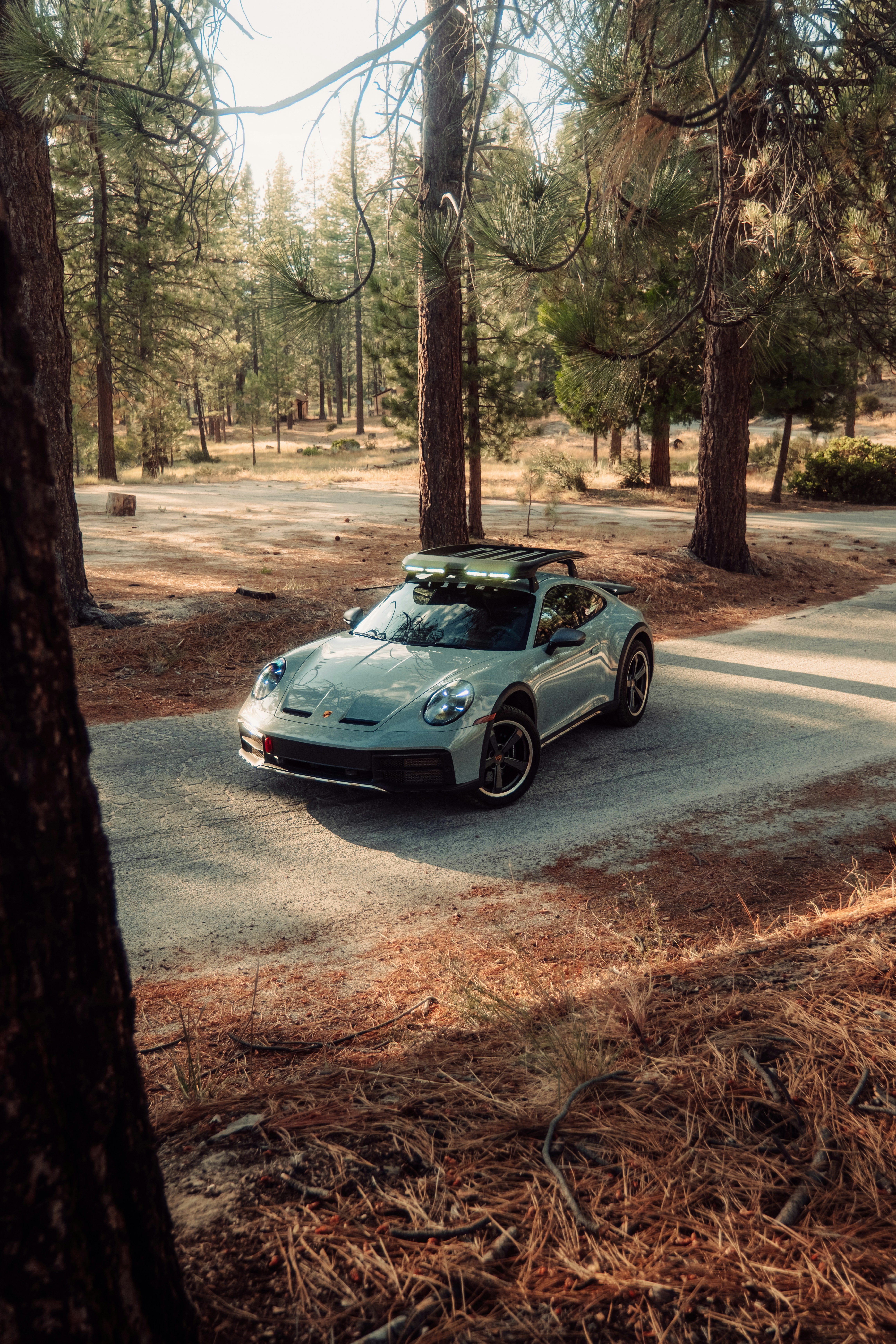 A grey sports car with a roof rack on a paved road in a pine forest