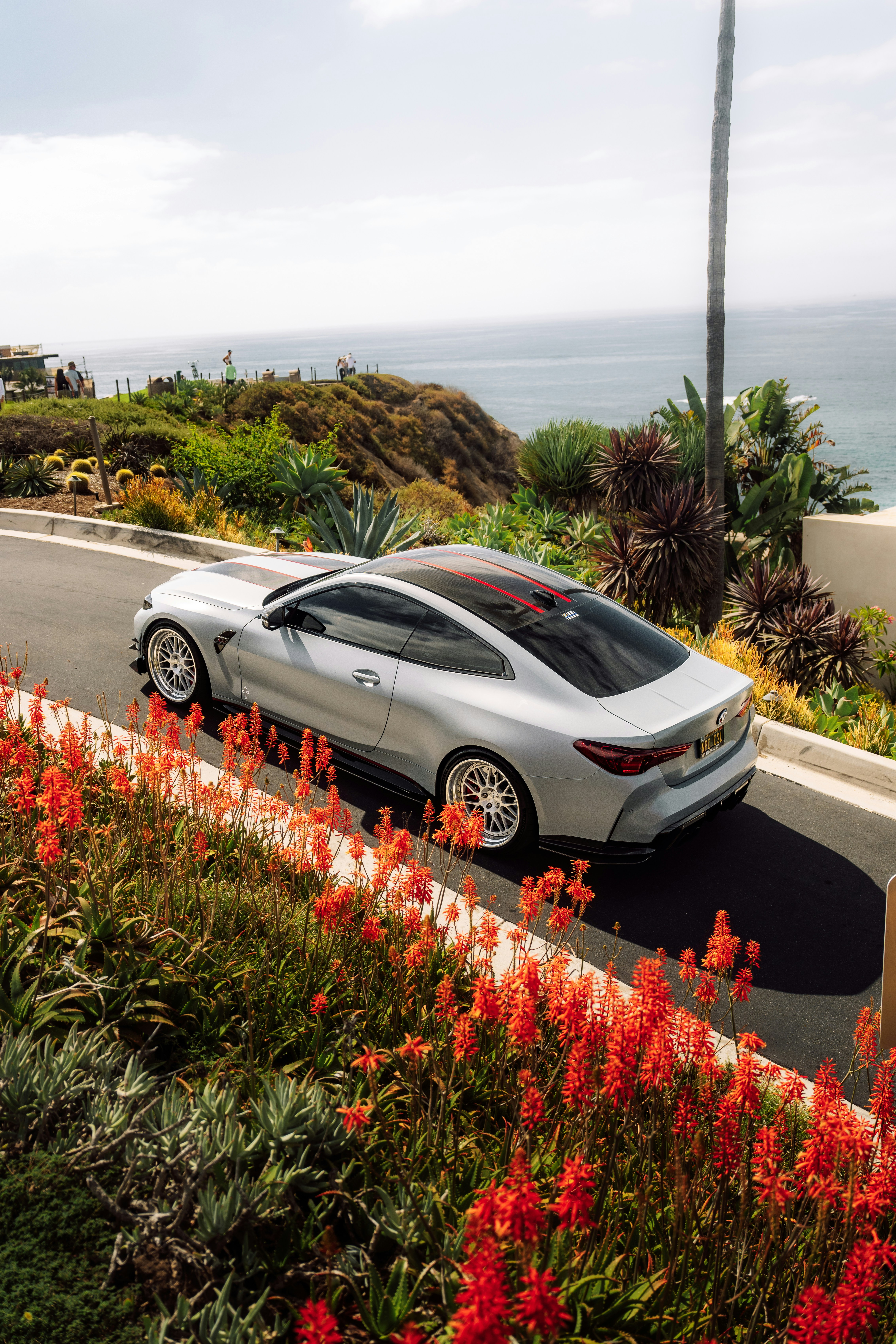 A silver sports car parked on a coastal road lined with bright orange aloe flowers