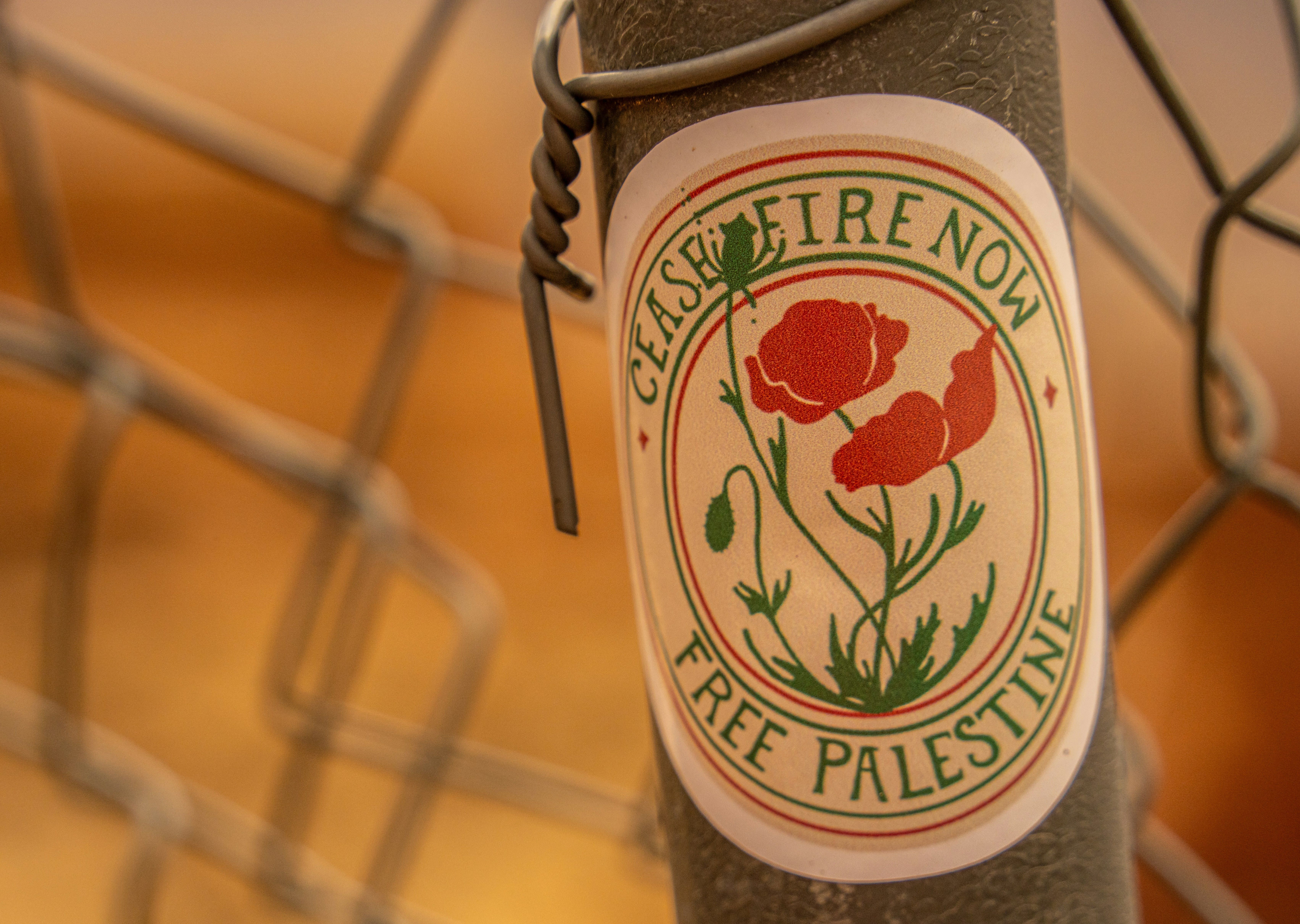 Un adesivo con papaveri rossi e un testo con scritto Cessate il fuoco ora libera la Palestina su una recinzione a rete metallica