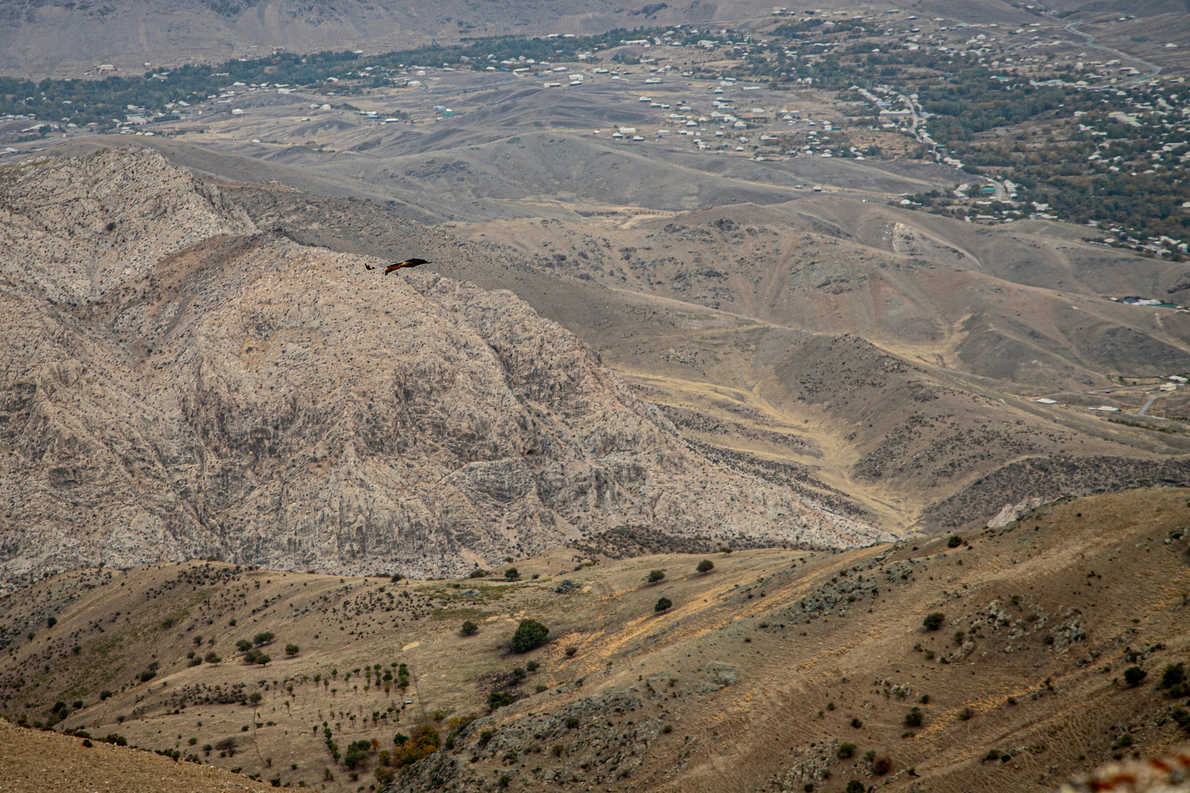 A bird of prey soaring above a vast arid mountain landscape with a distant village