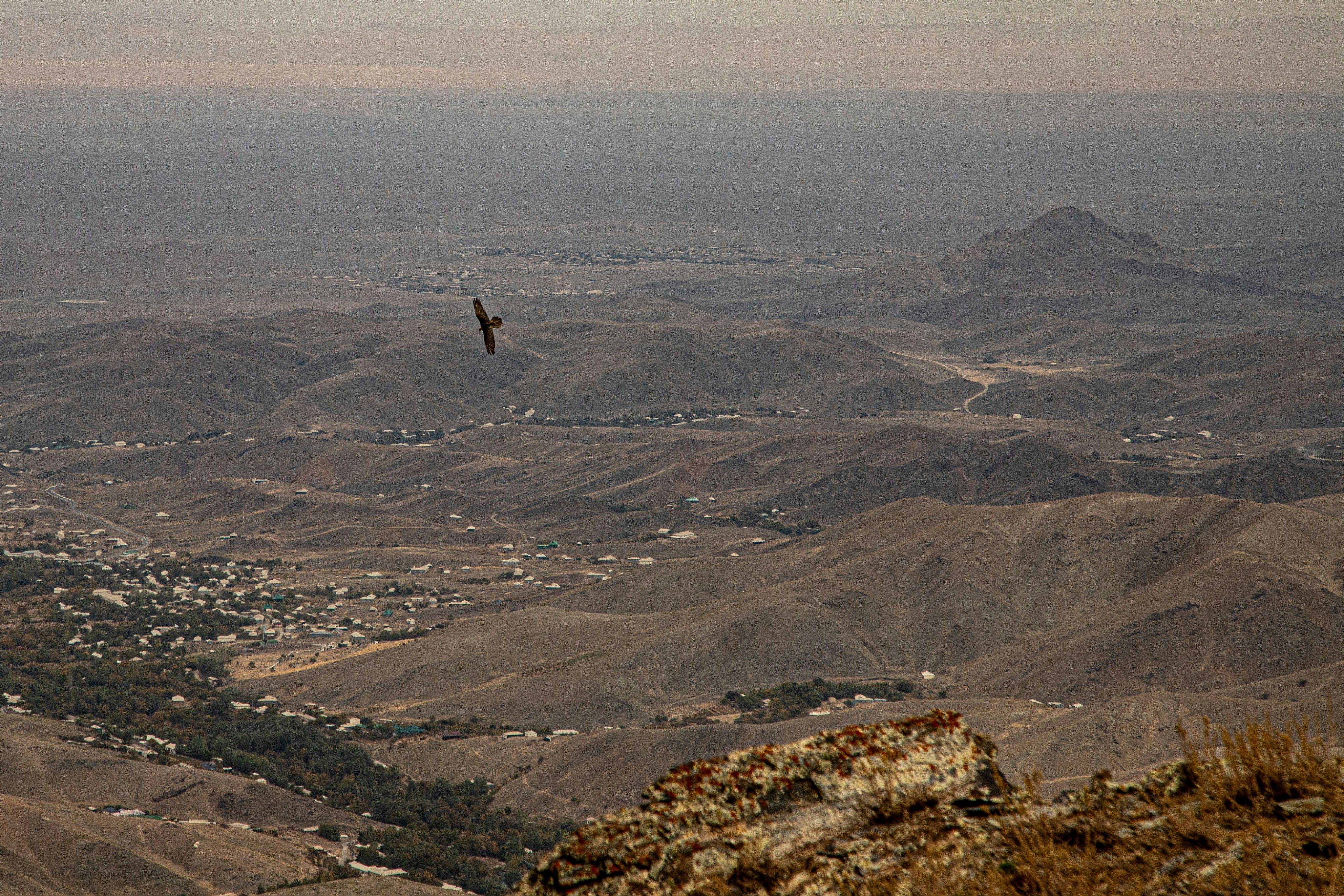 A bird of prey soaring over a vast arid landscape with scattered village houses