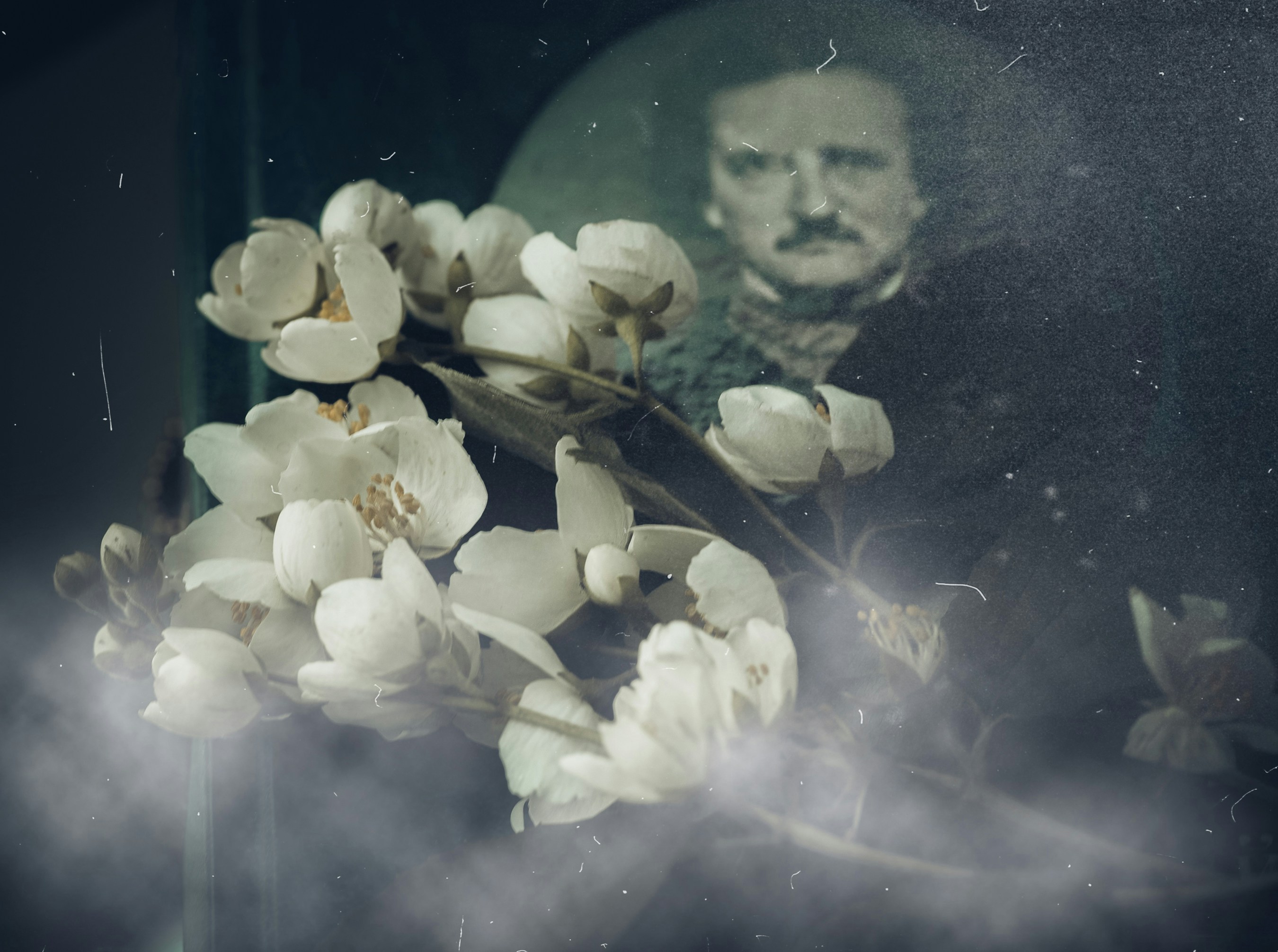 White jasmine flowers in front of a vintage portrait of a man with a mustache