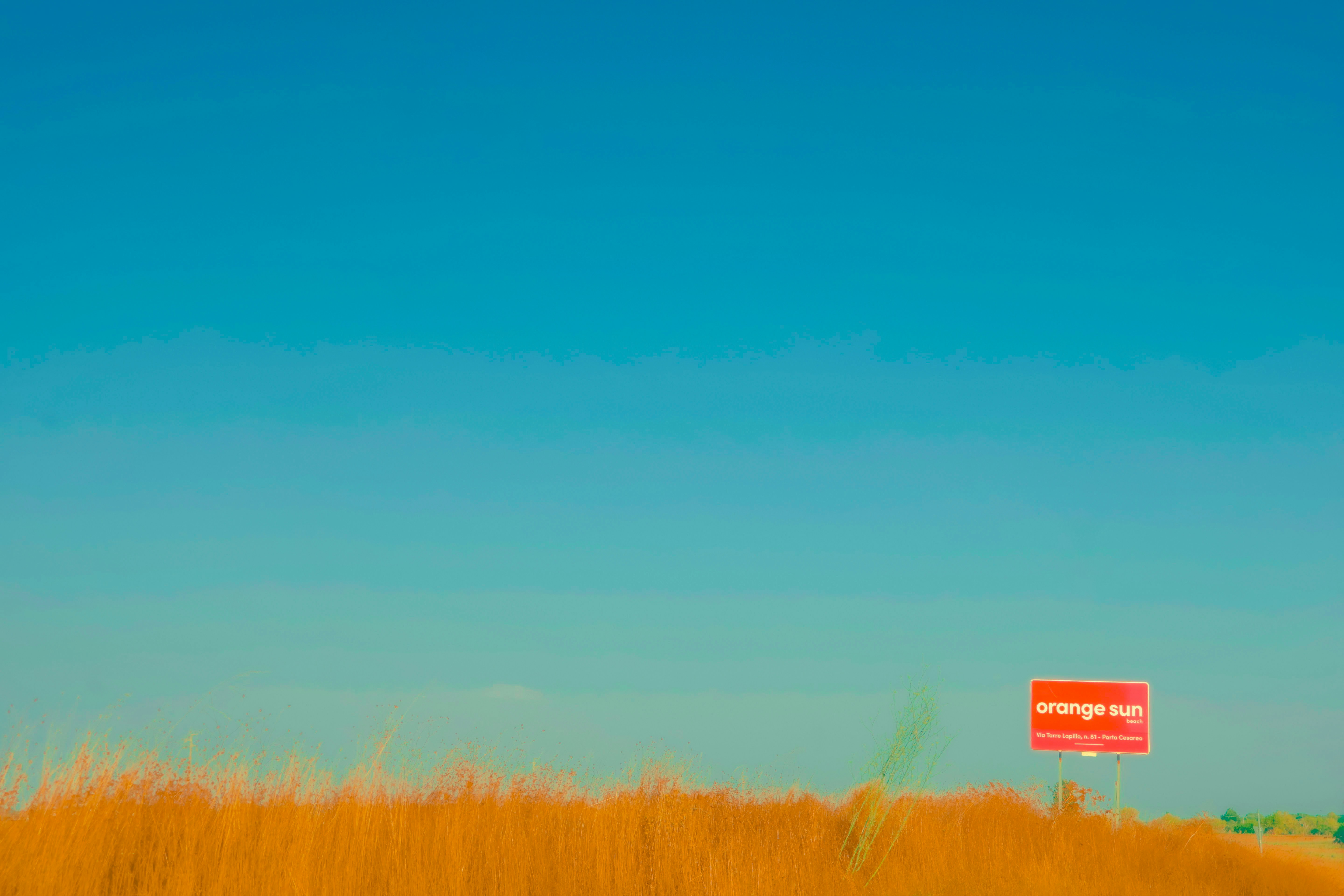 A red sign reading "orange sun" in a field of tall golden grass under a clear blue sky