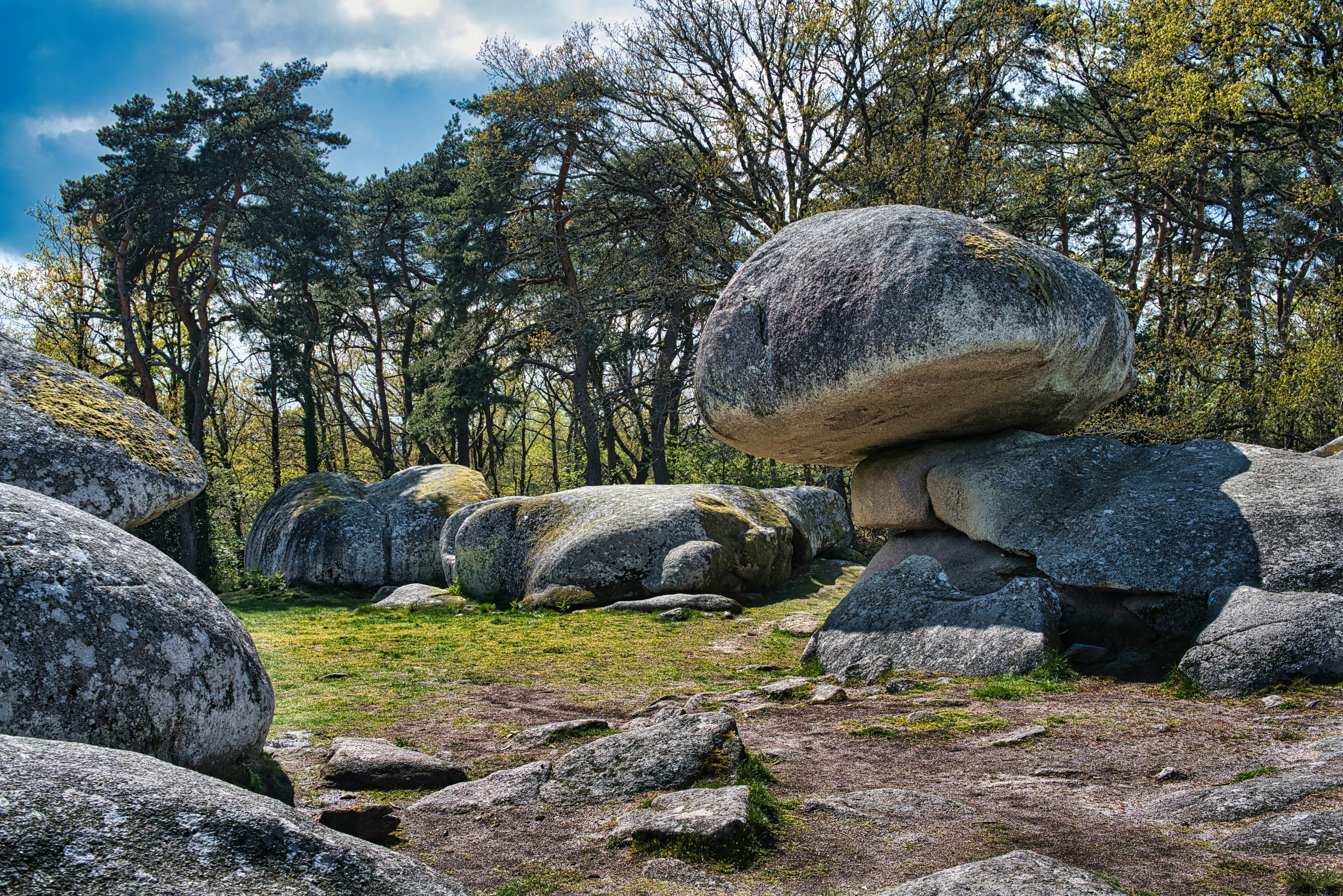 Large weathered boulders in forest clearing - Free Photo on Unsplash