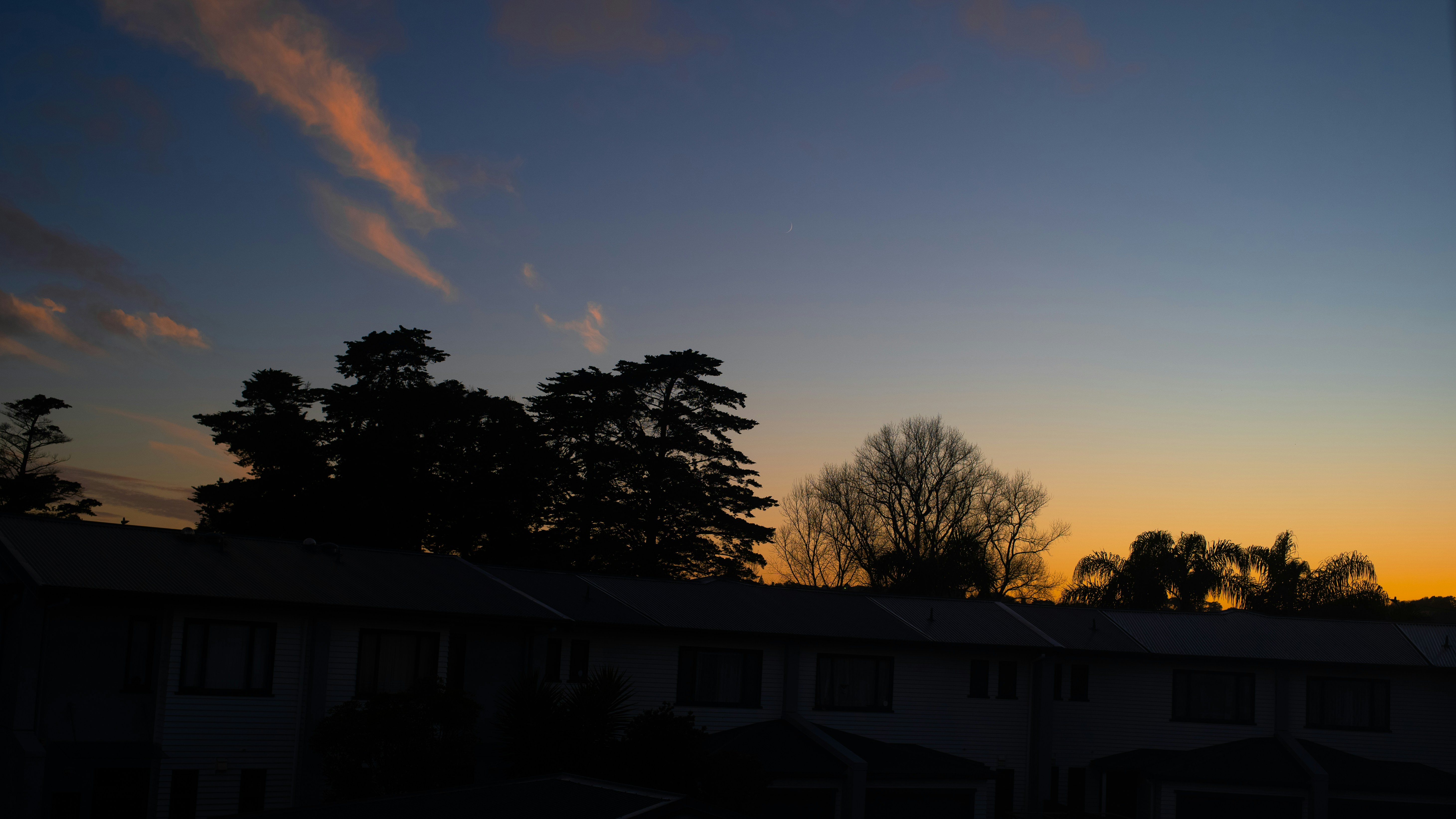 Silhouetted trees and rooftops against a gradient sky during the golden hour