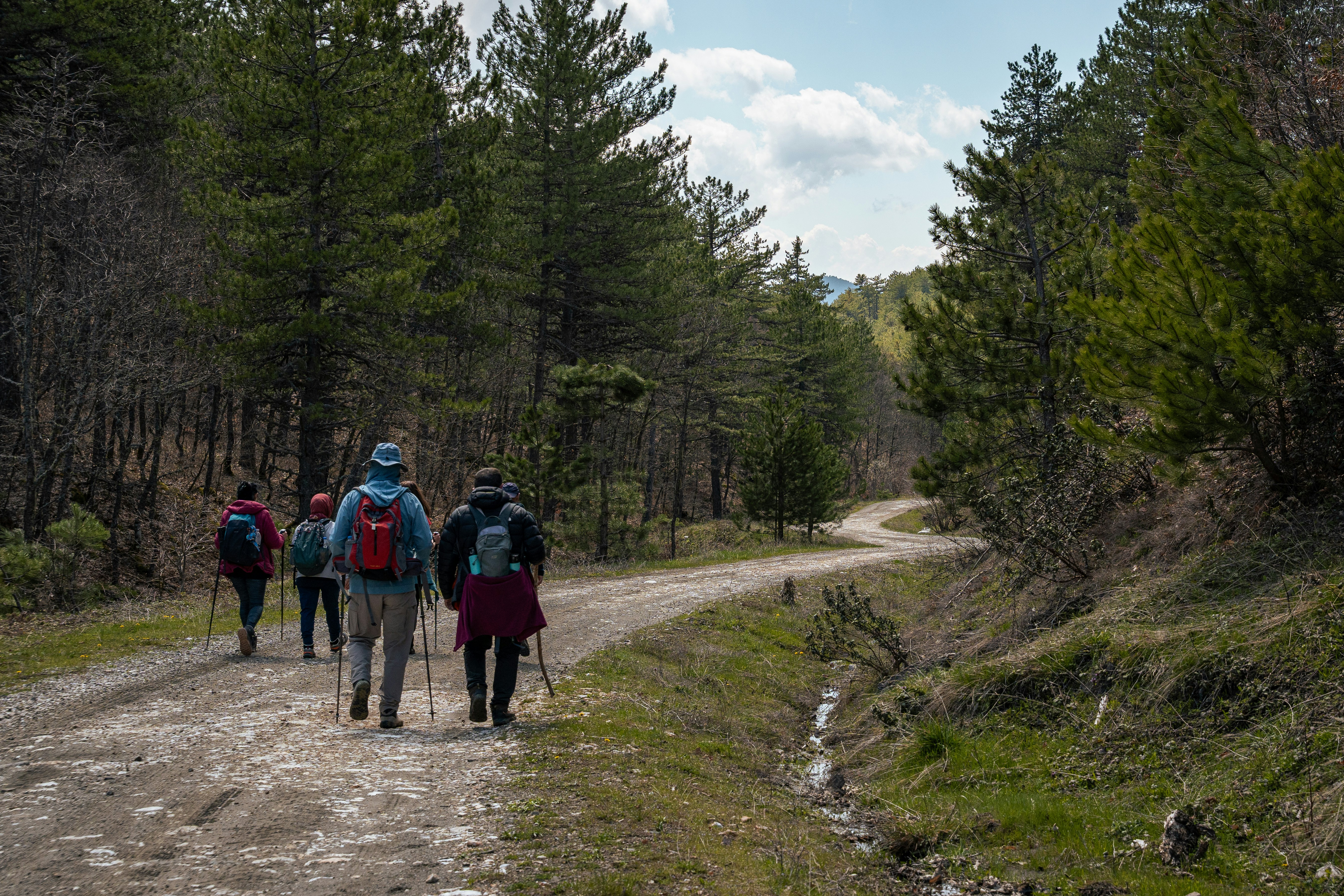 Les secrets du Grand Bois — Le Bessat