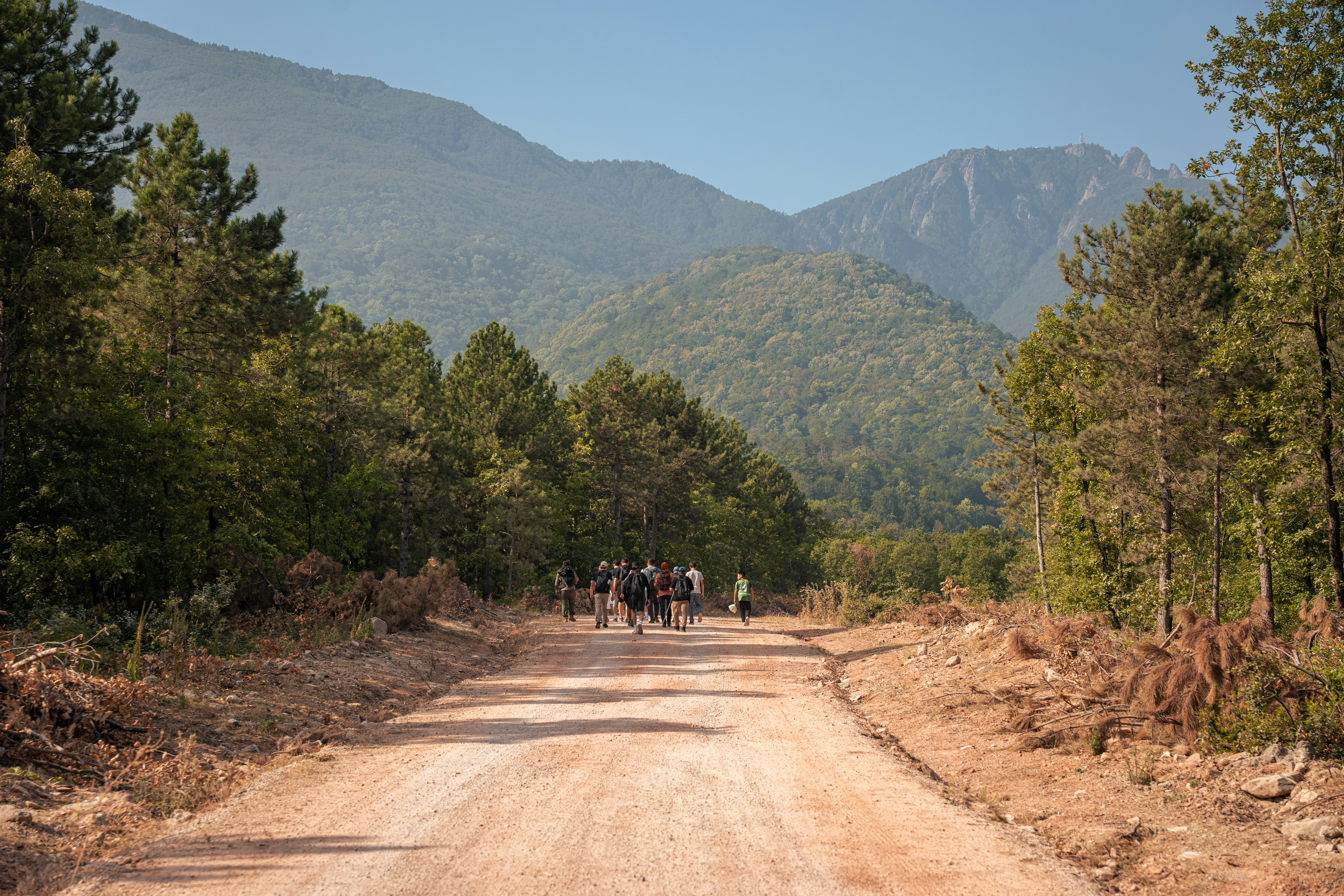 A group of people walking along a dirt road through a forest toward distant mountains