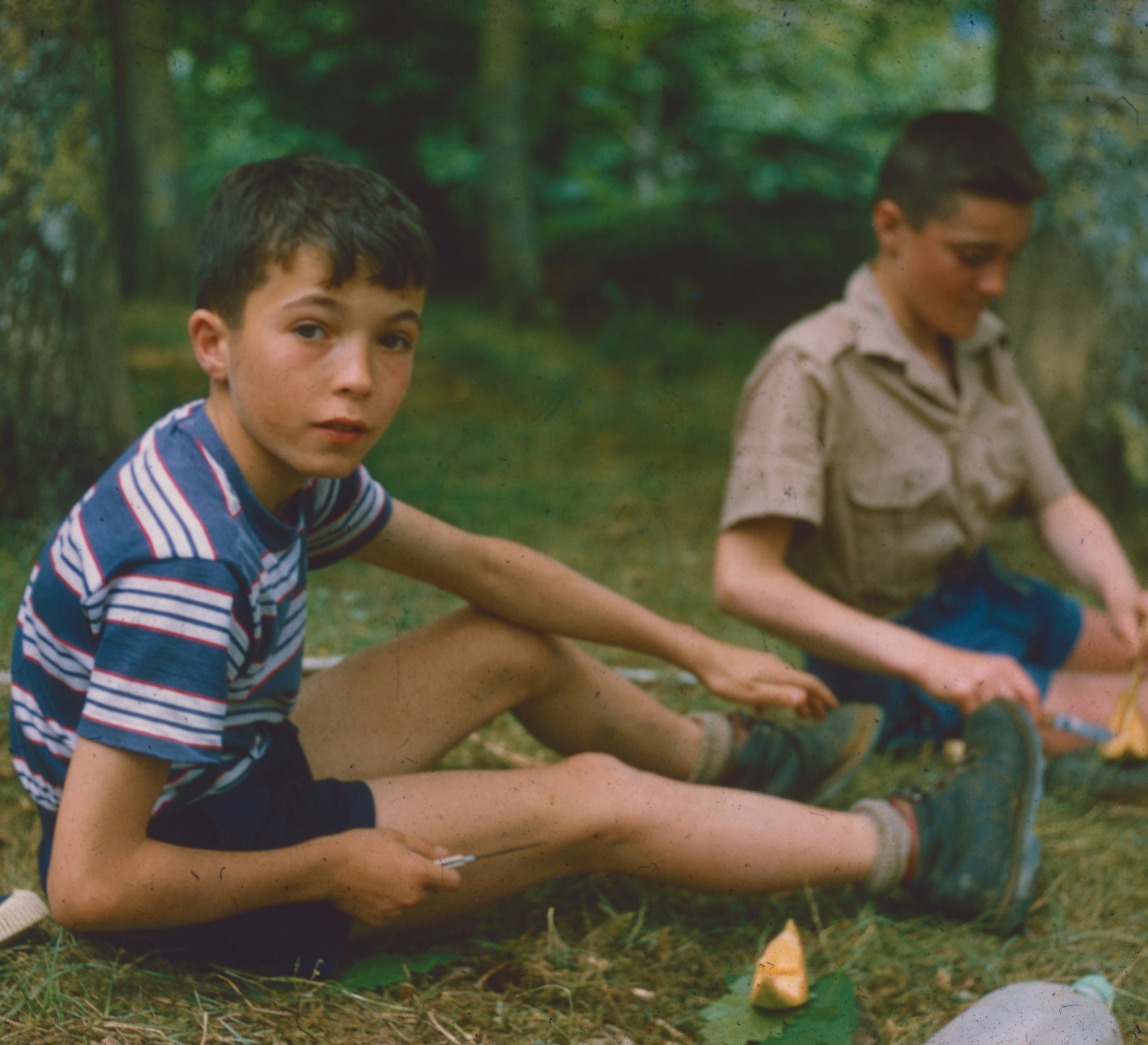 Two boys sitting on the grass in a wooded area, one holding a small knife