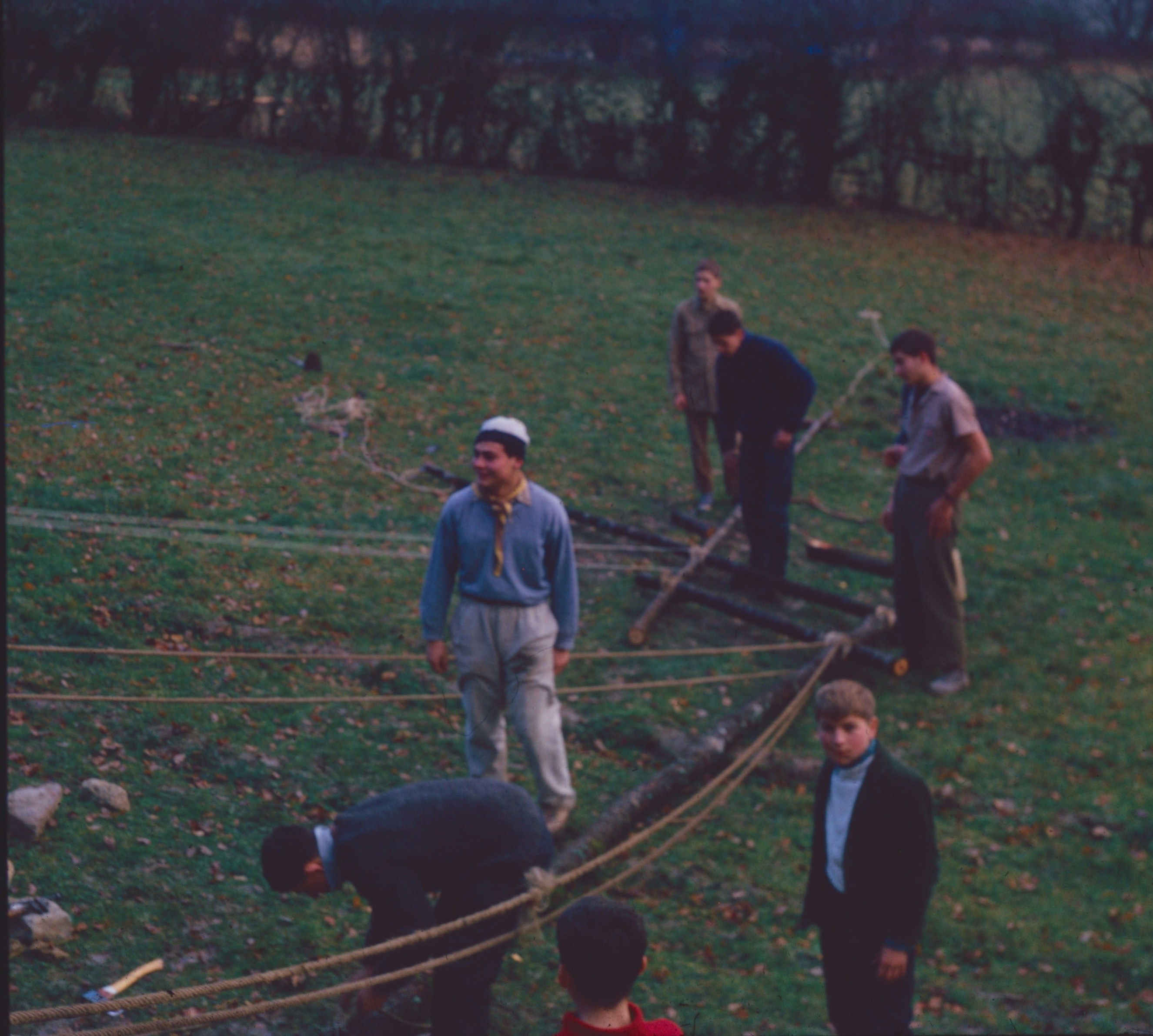 People building wooden structure in field - Free Photo on Unsplash