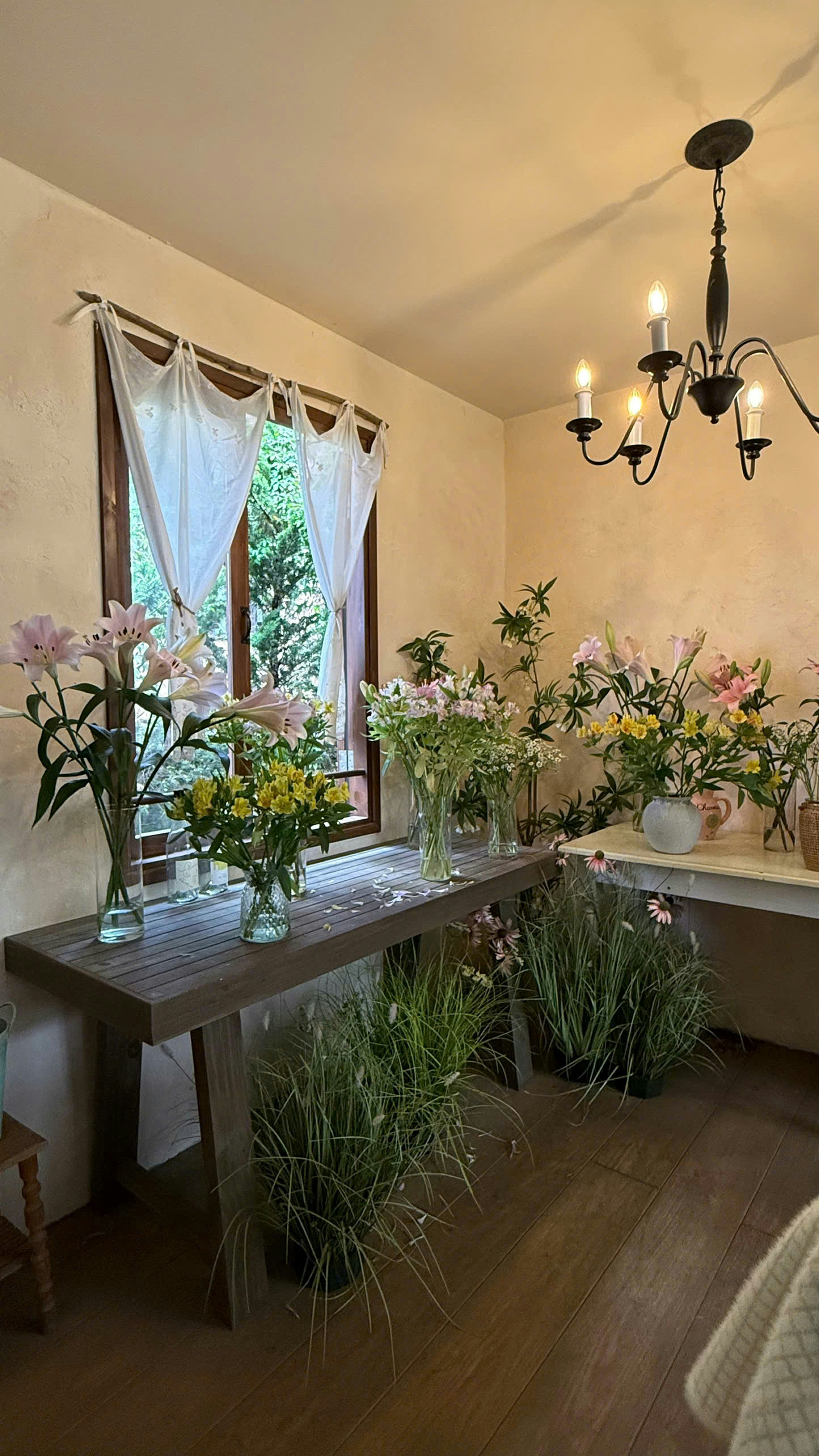 Vases of flowers on wooden table - Free Photo on Unsplash