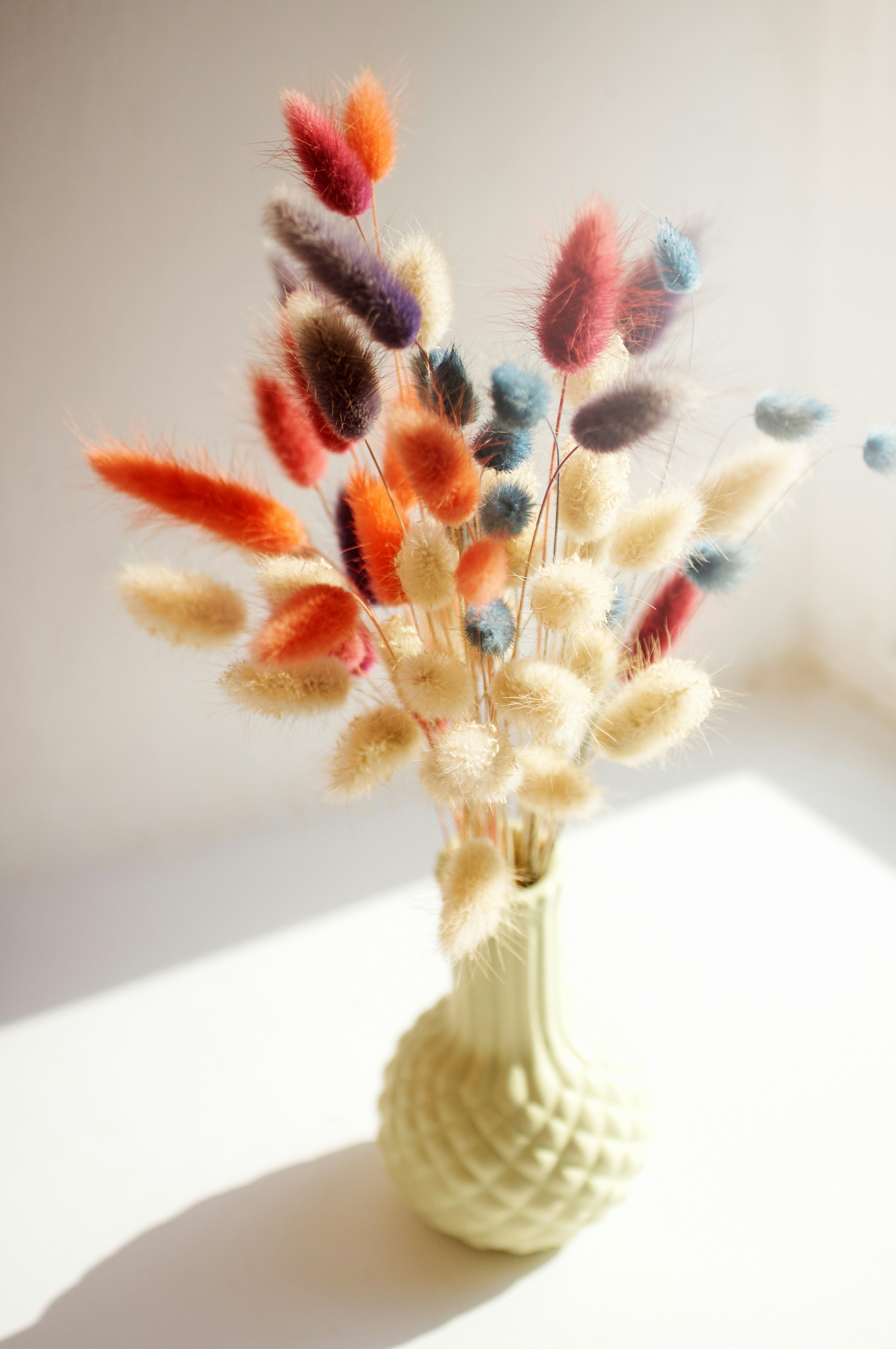 Colorful dried bunny tail grass bouquet - Free Photo on Unsplash