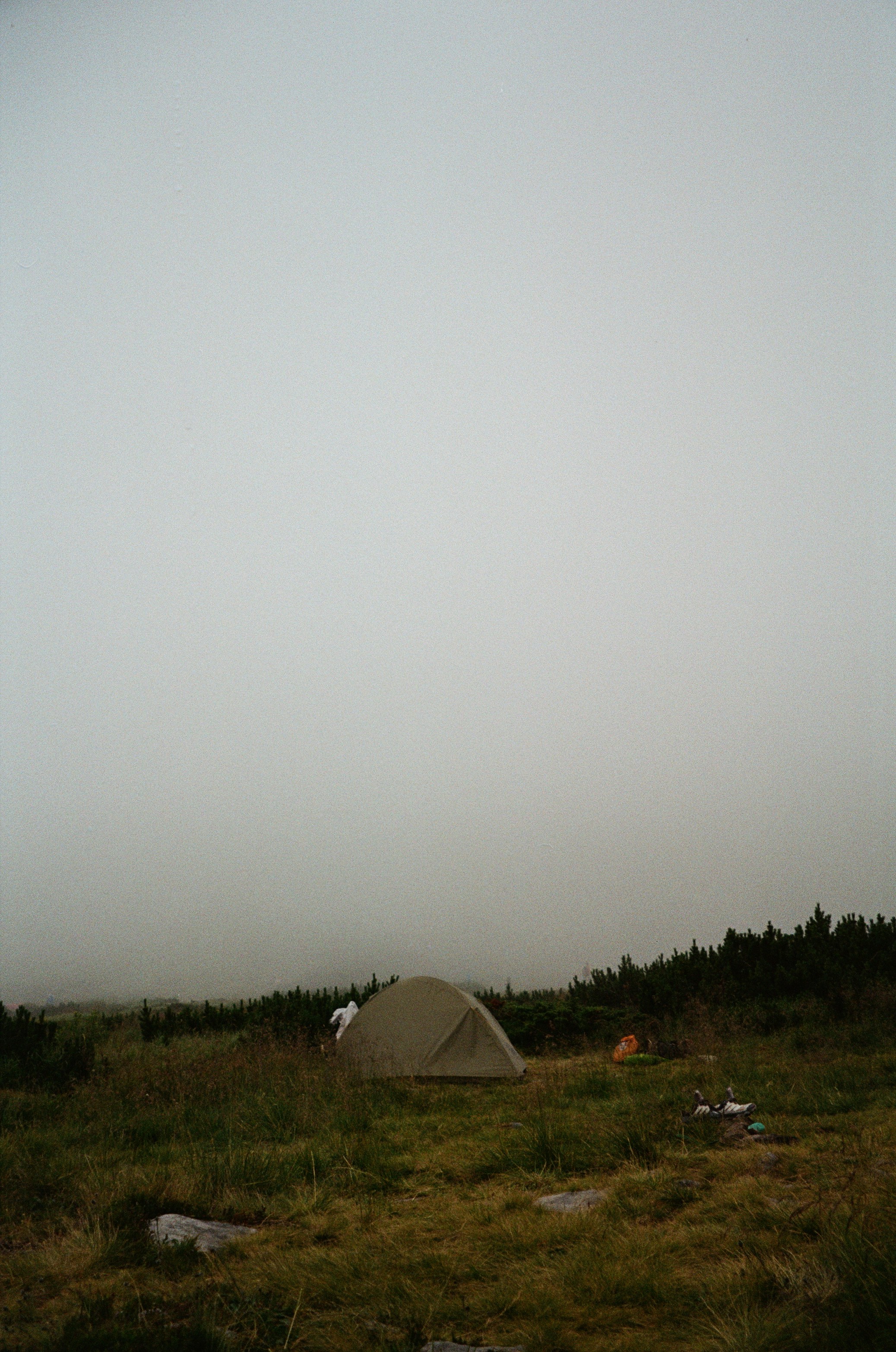 A small tent in a grassy field under a thick blanket of grey fog