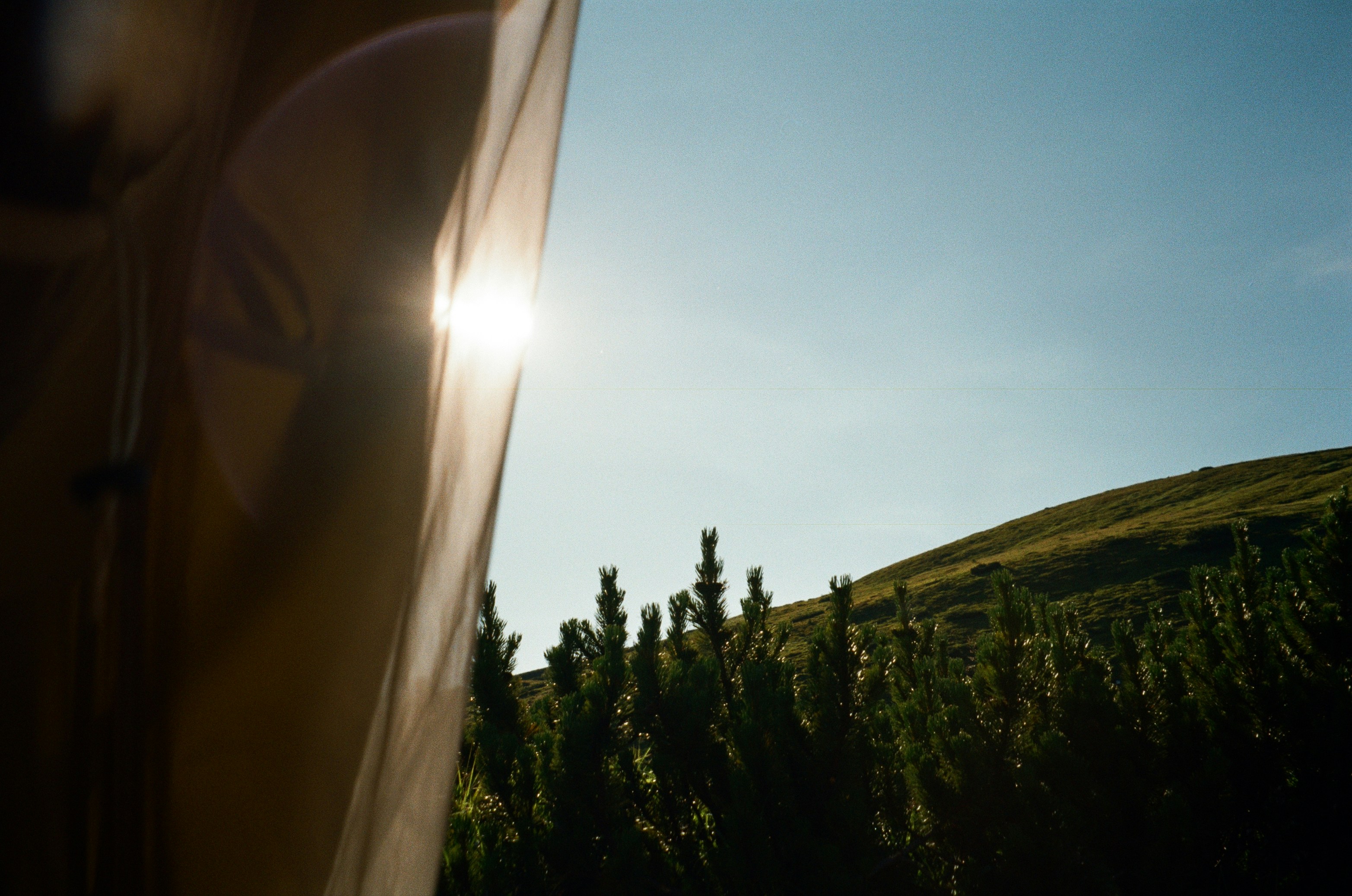 Low sun shining through a translucent tent fabric over pine trees and a grassy hillside
