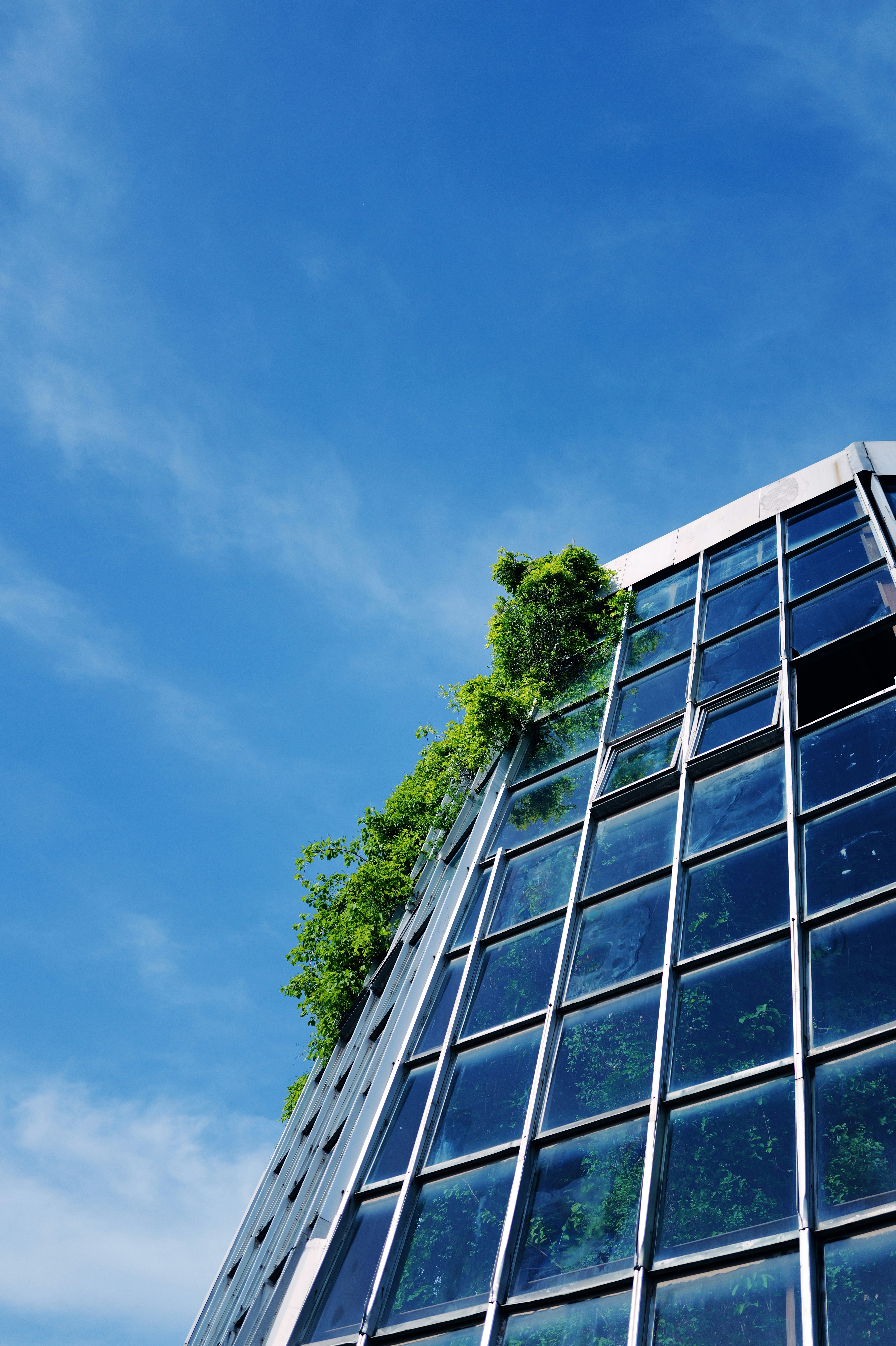 Modern glass building with green plants - Free Photo on Unsplash