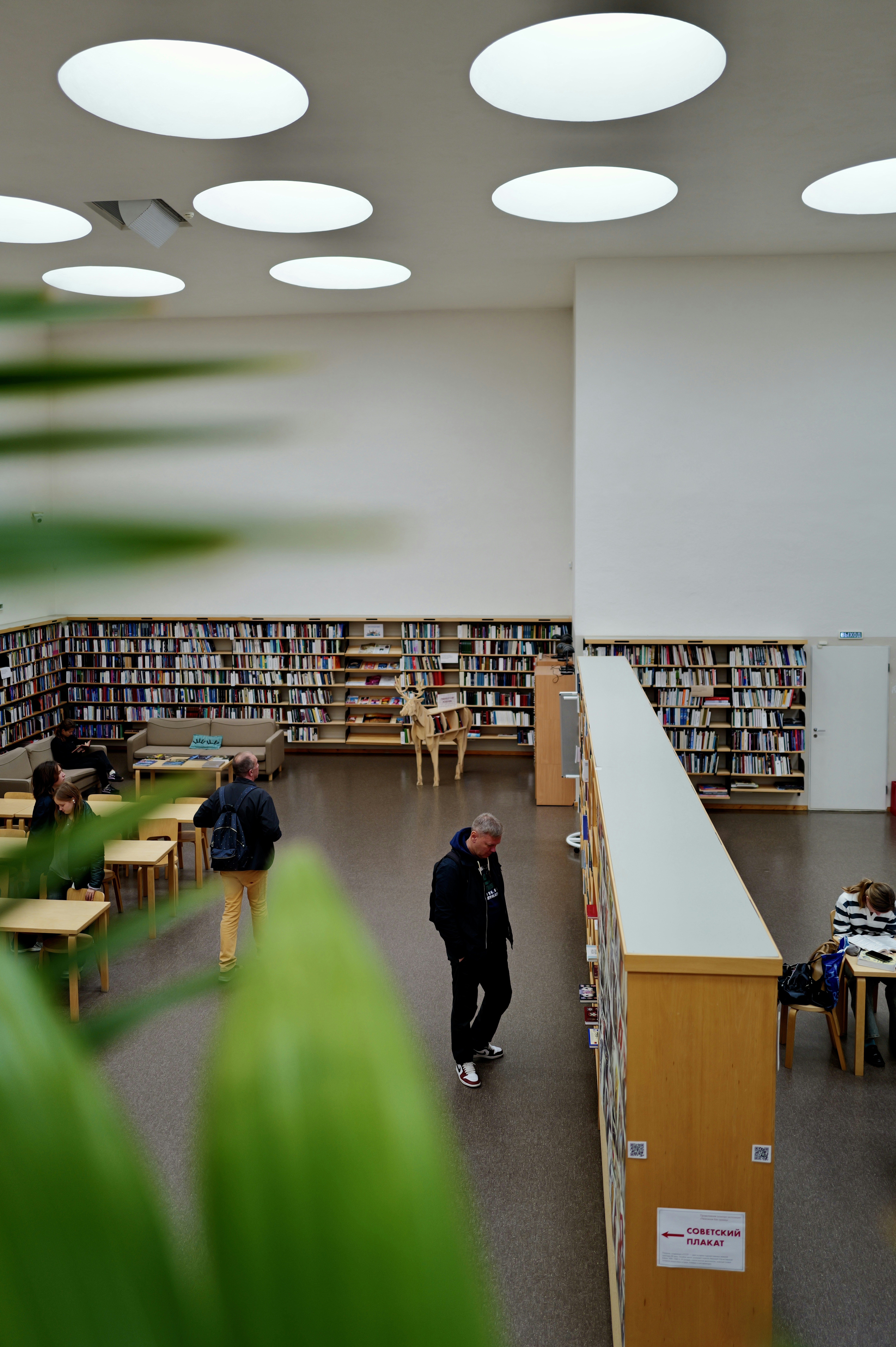 Library interior with tall bookshelves - Free Photo on Unsplash