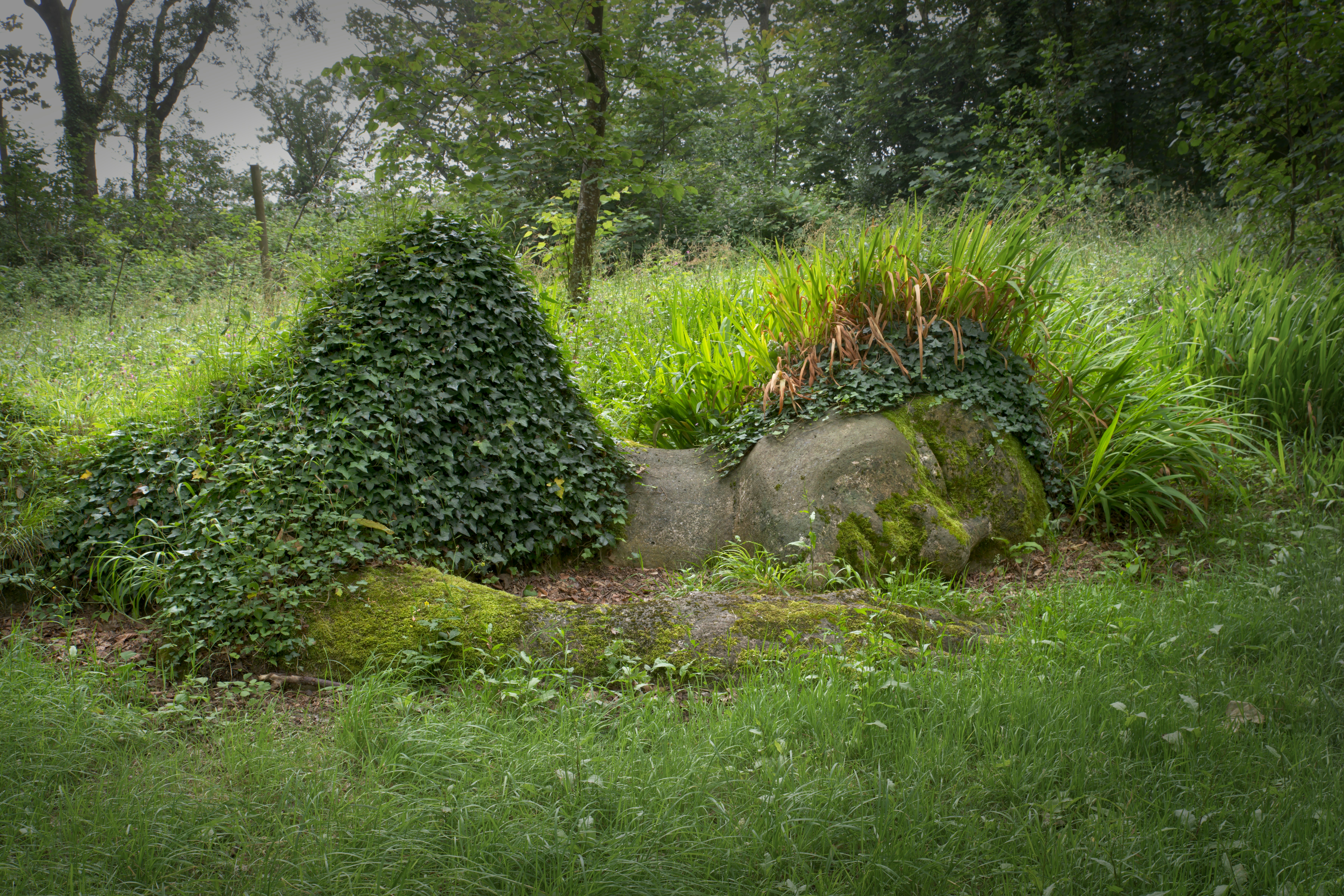A stone sculpture of a reclining figure covered in ivy and moss in a grassy meadow