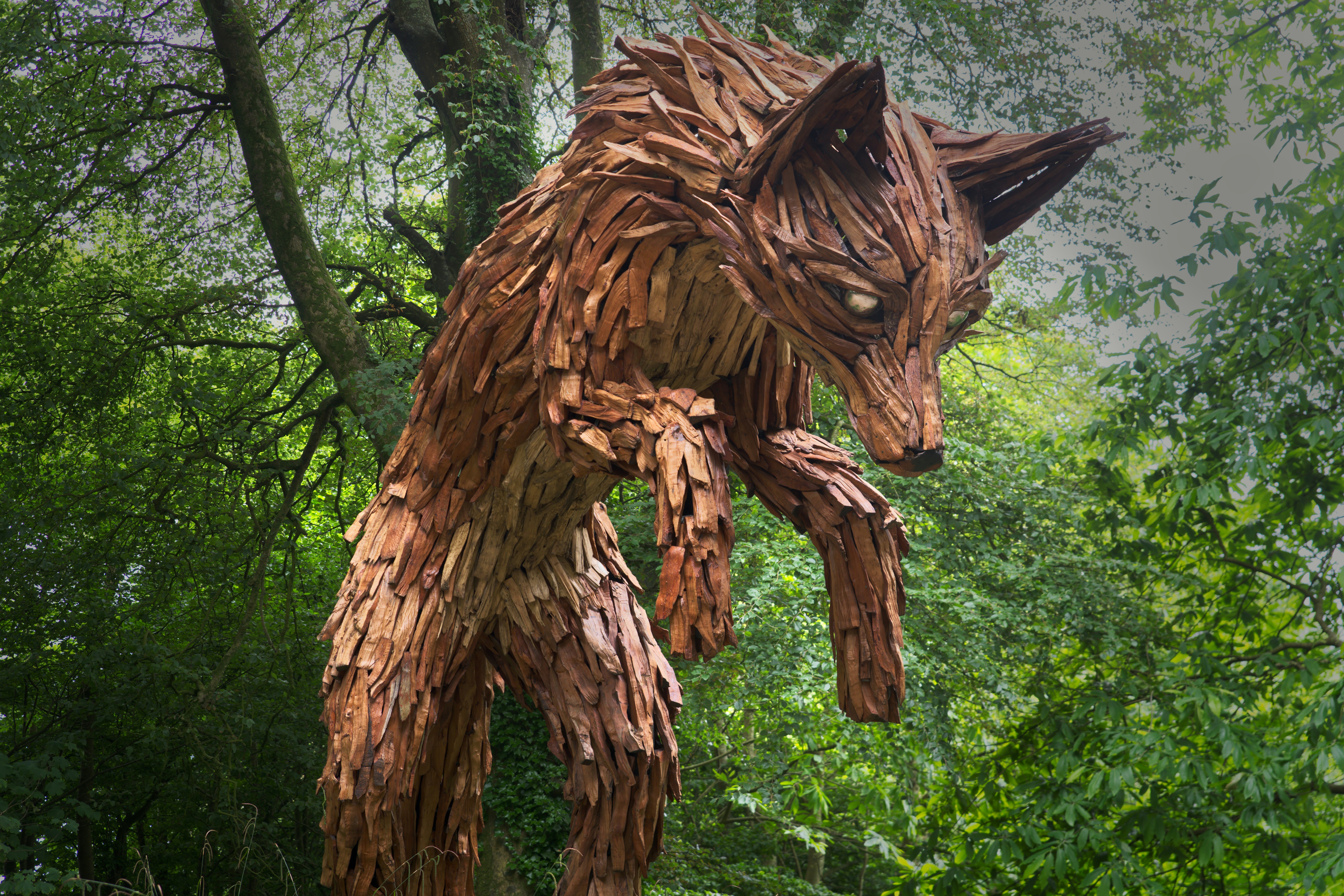 Driftwood fox sculpture in forest - Free Photo on Unsplash