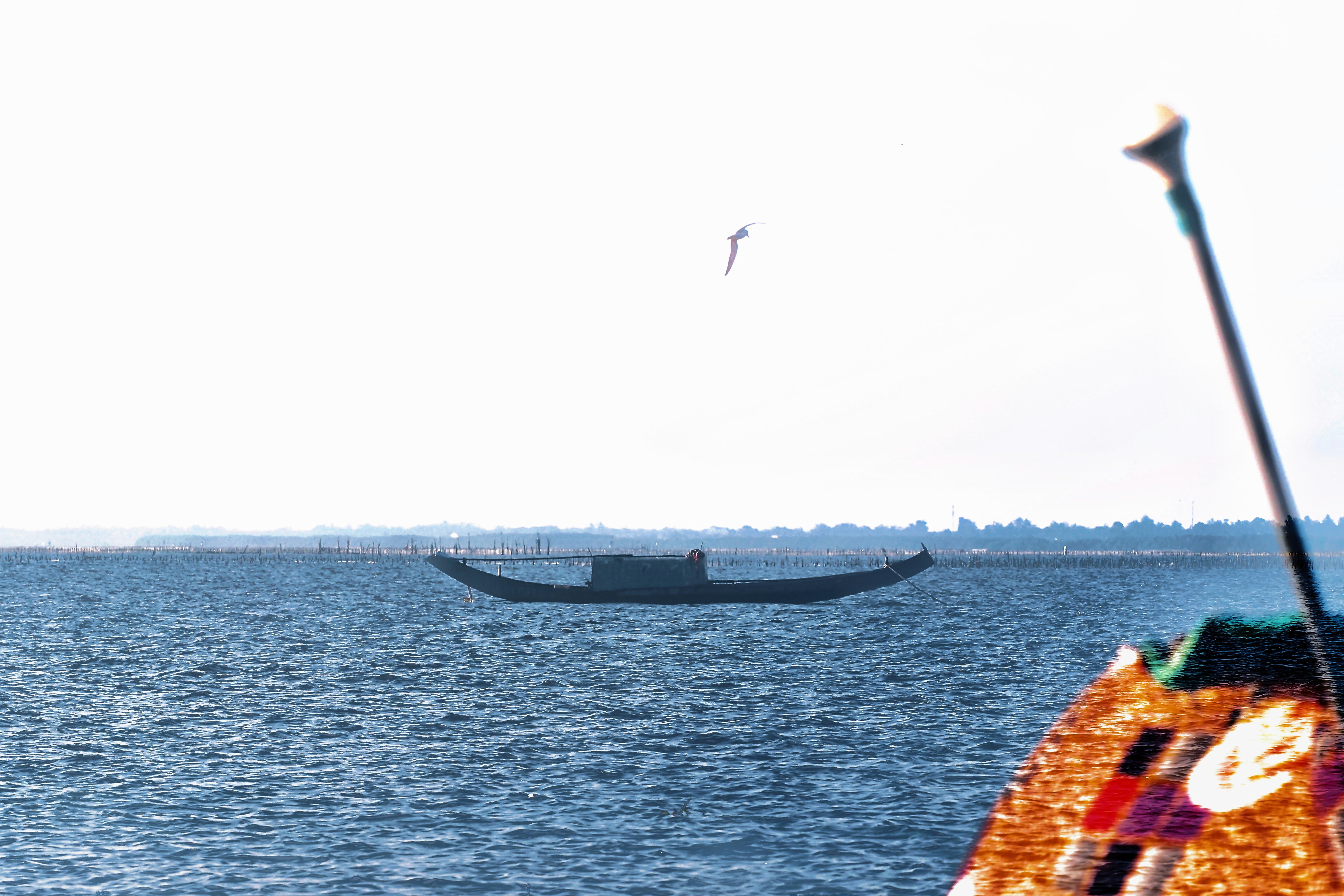 Small wooden boat on calm water - Free Photo on Unsplash