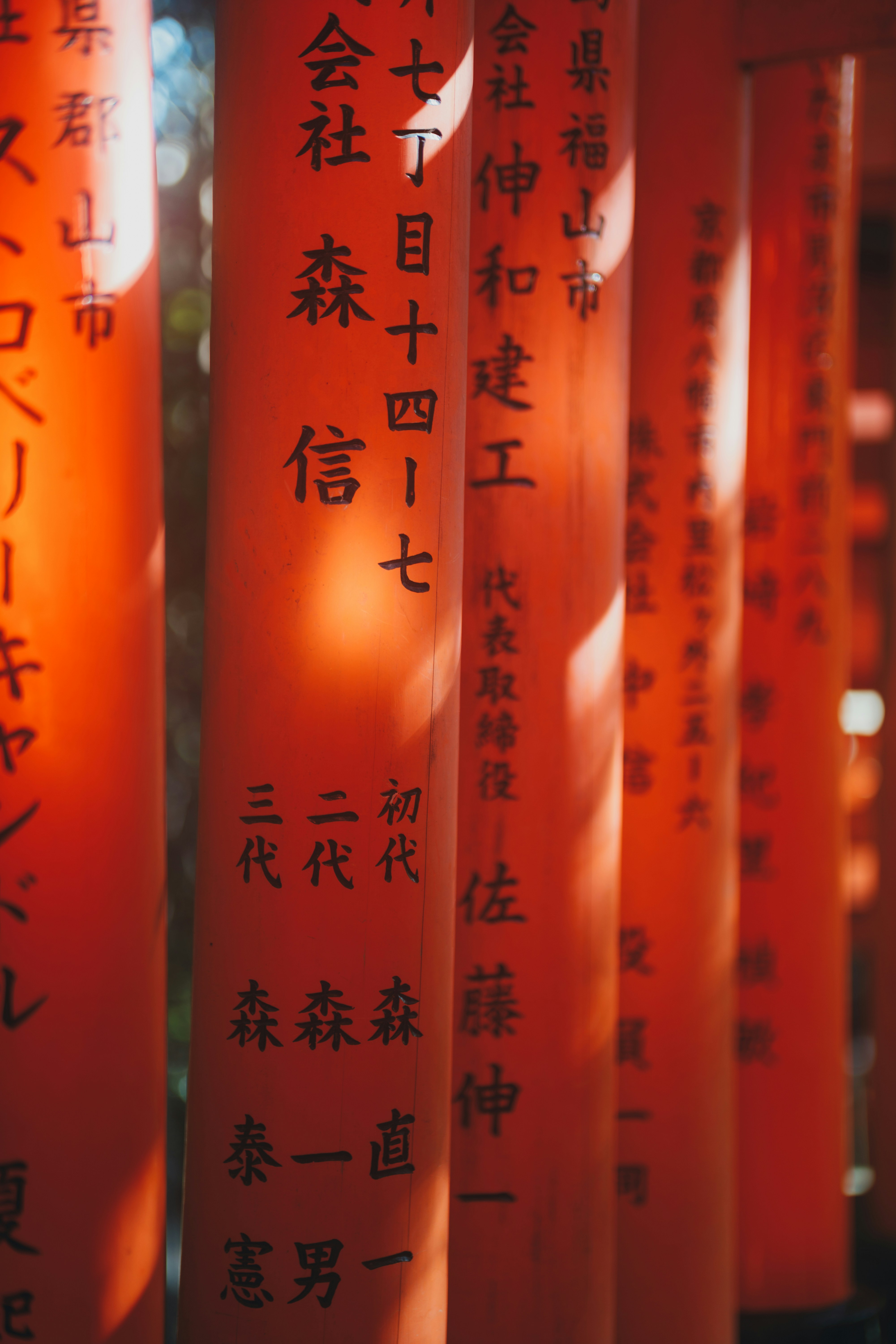 Bright orange torii gates with black Japanese calligraphy standing in a row at Fushimi Inari Shrine