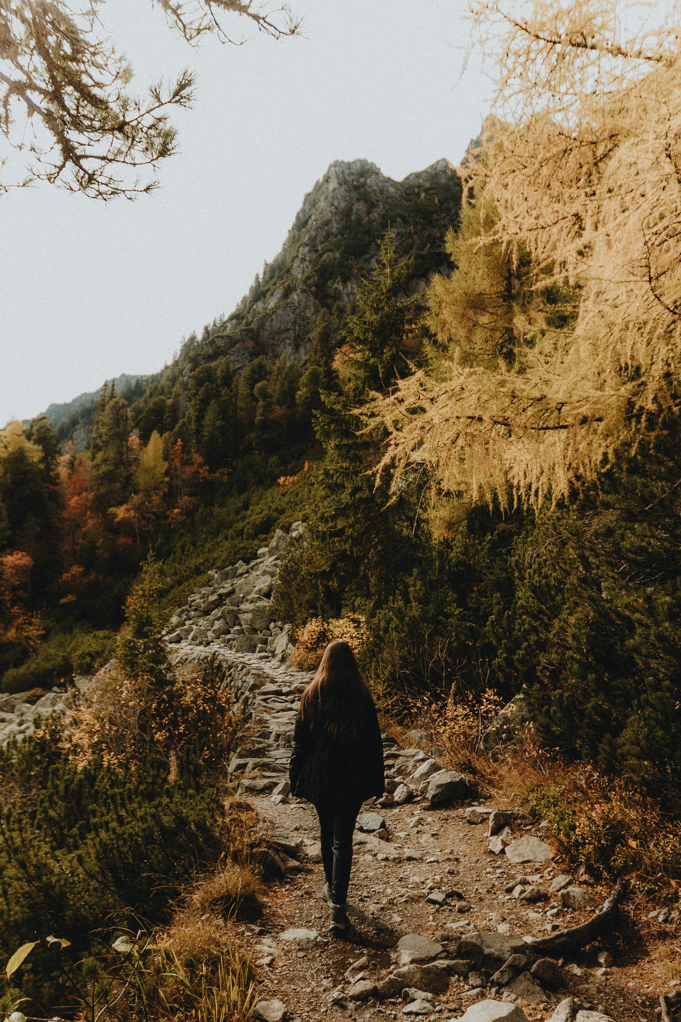 A person walking along a rocky mountain trail surrounded by autumn trees