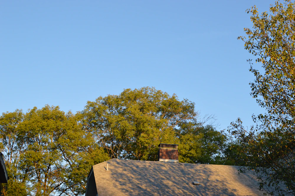 Shingled roof with a brick chimney under a clear blue sky and green trees