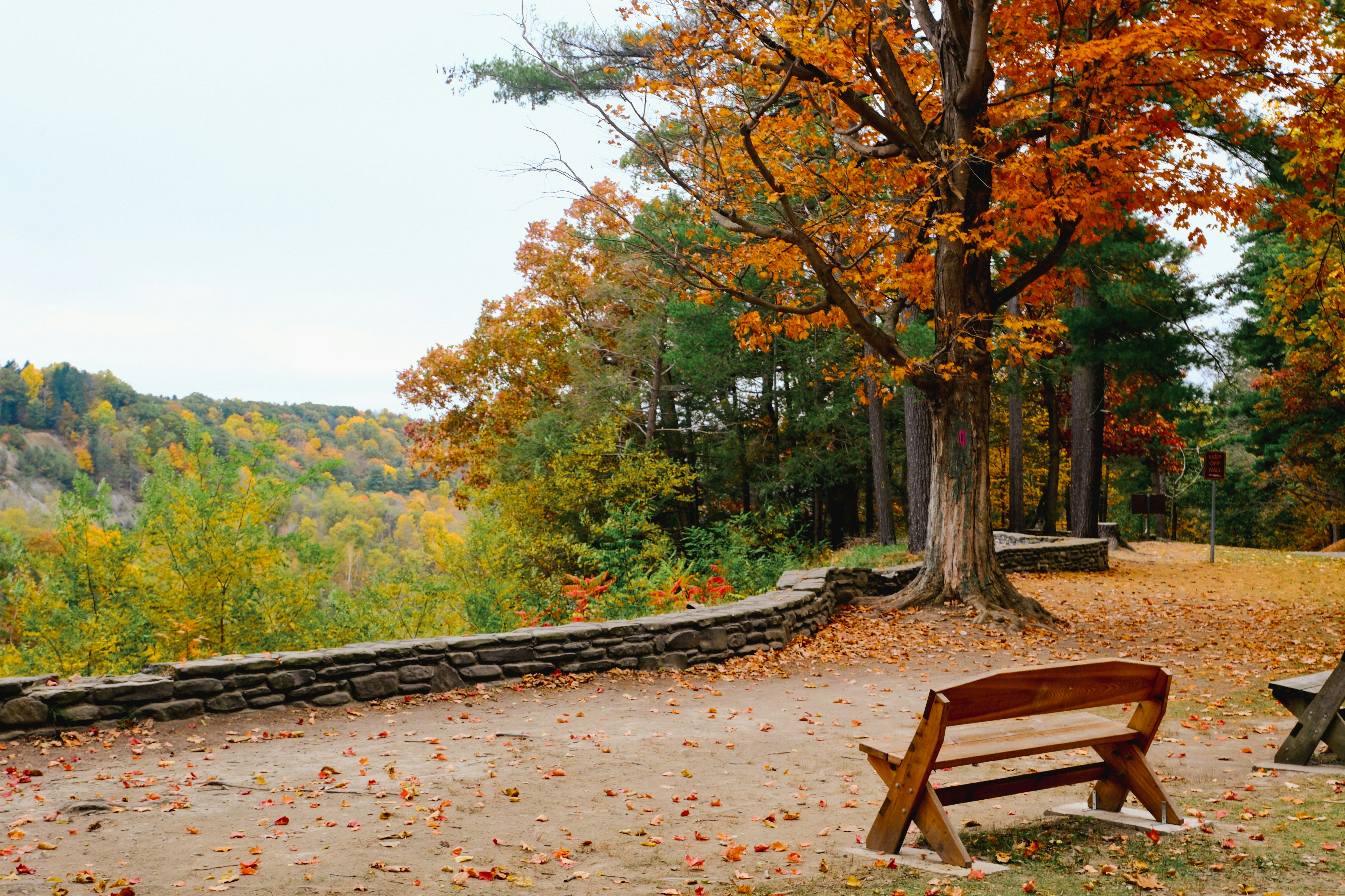 Wooden bench overlooking autumn valley - Free Photo on Unsplash