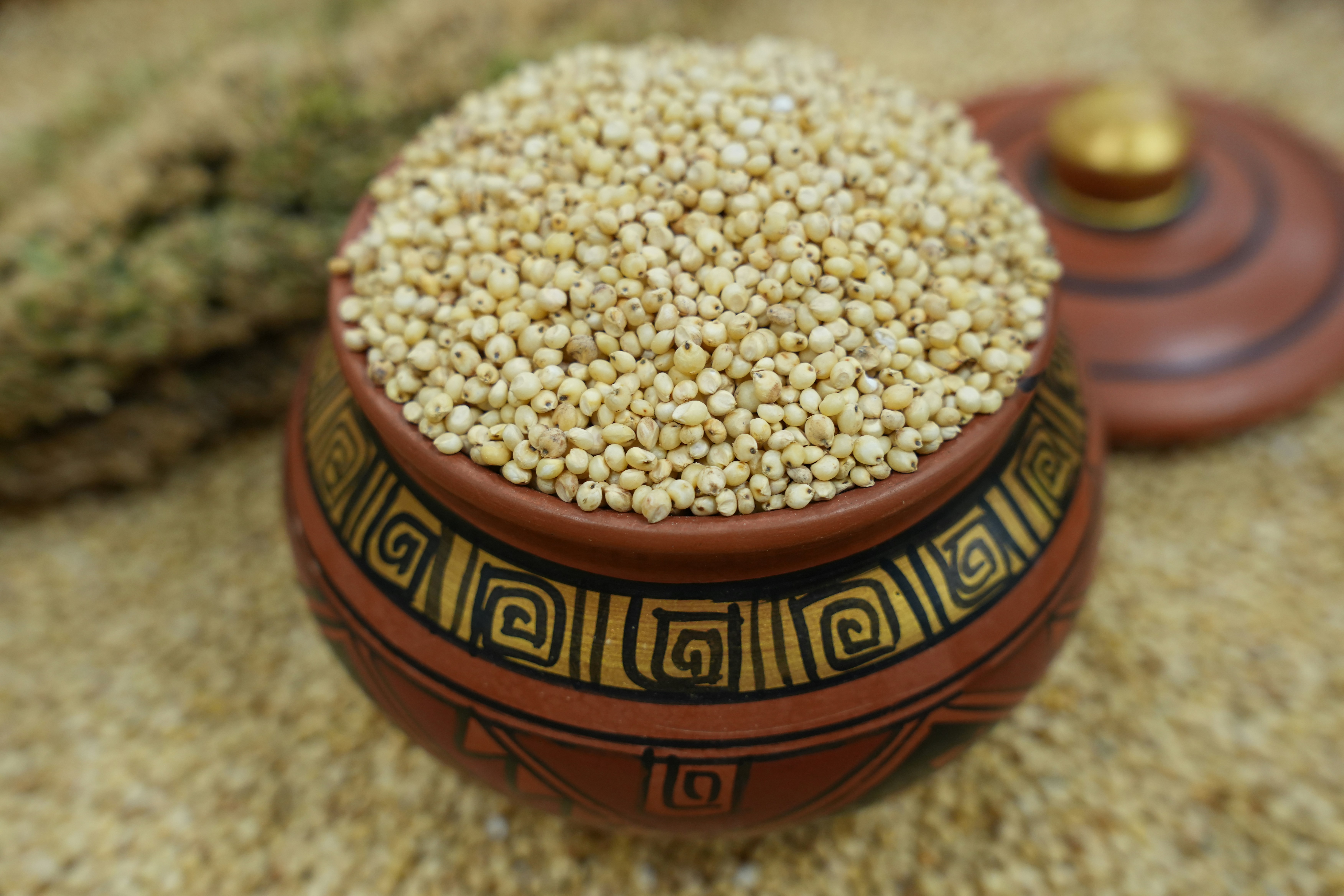 A clay pot filled with white sorghum grains beside a matching lid
