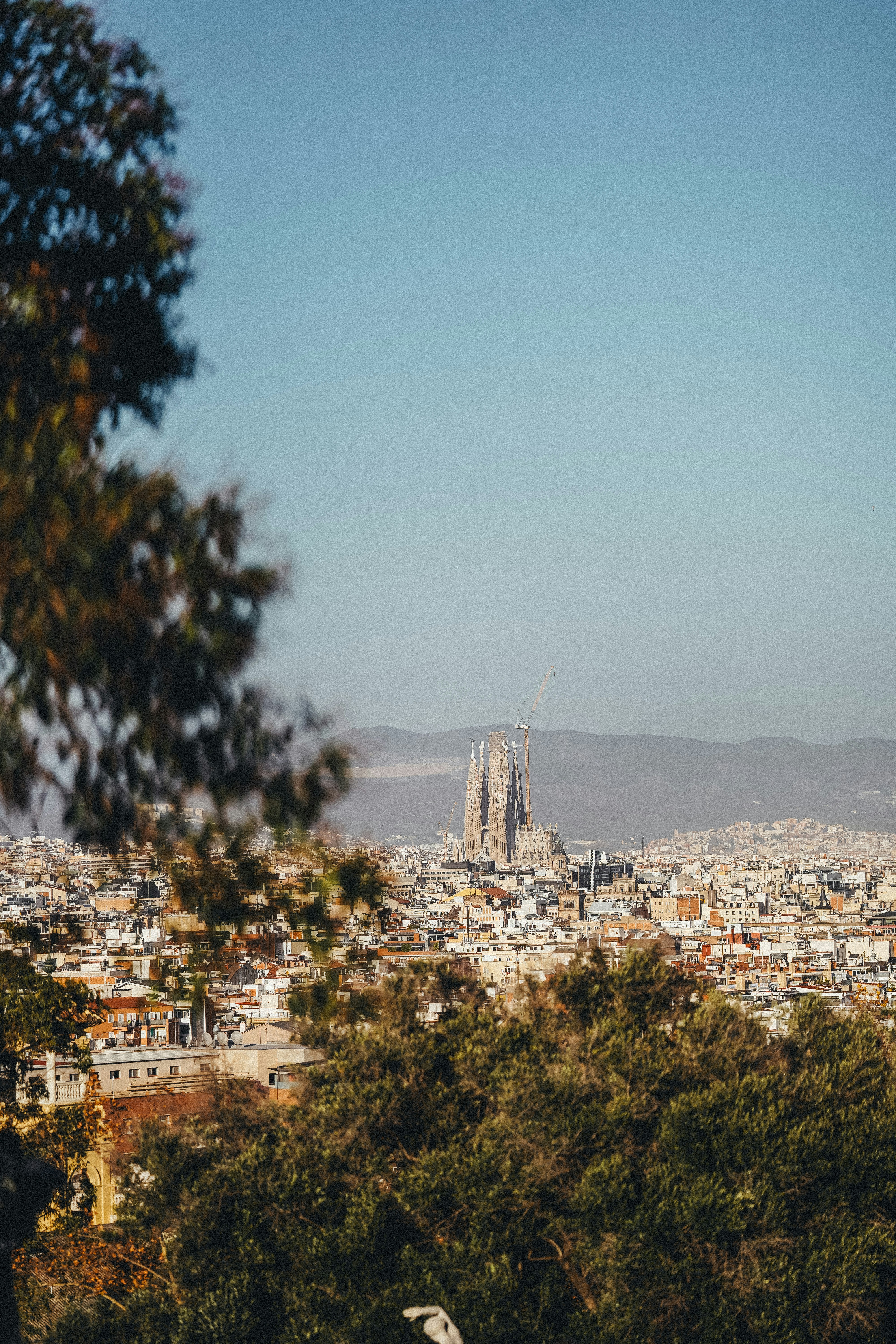 The Sagrada Familia rising above the cityscape of Barcelona under a clear blue sky