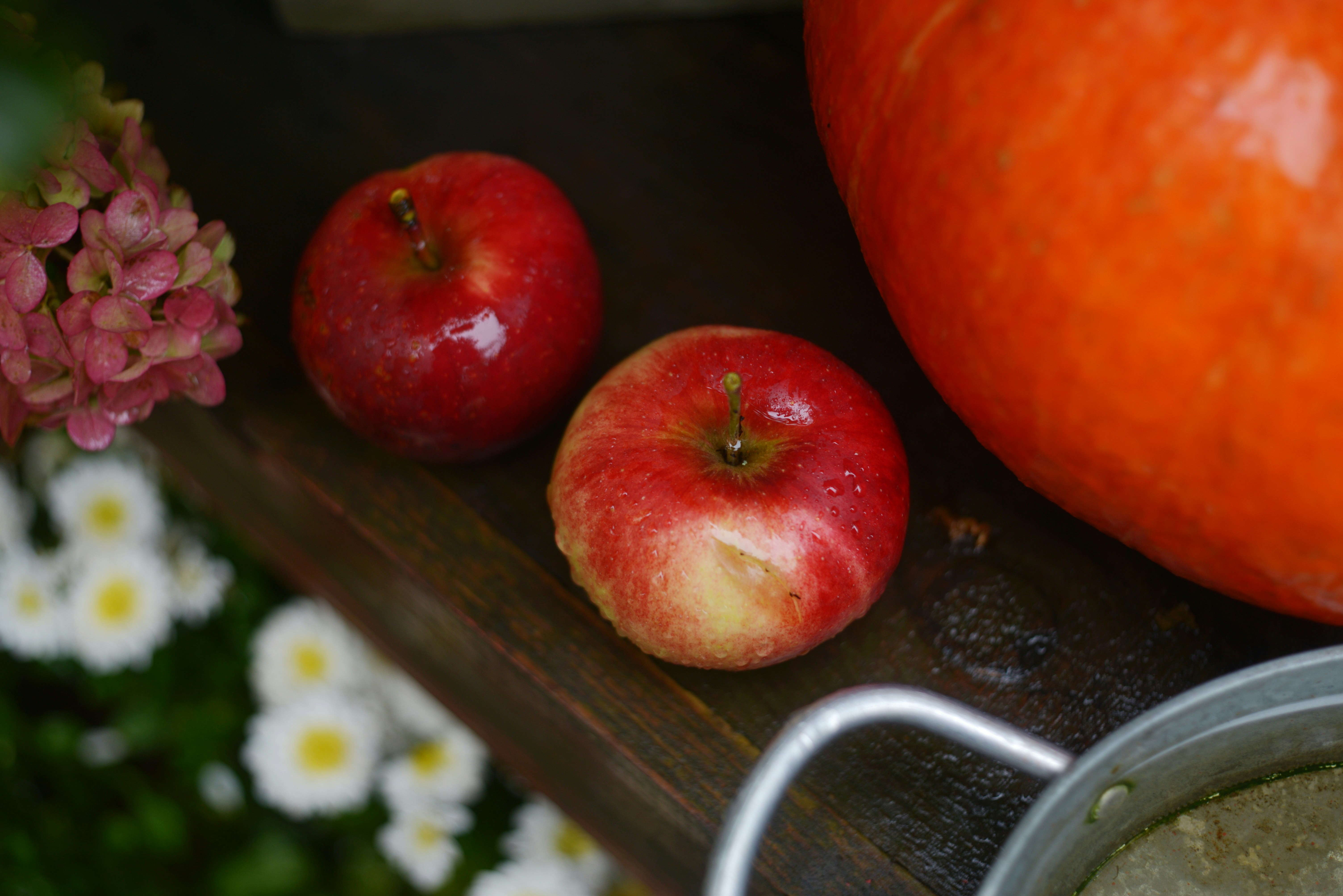 Two red apples beside a large orange pumpkin and pink hydrangea flowers on a wooden surface