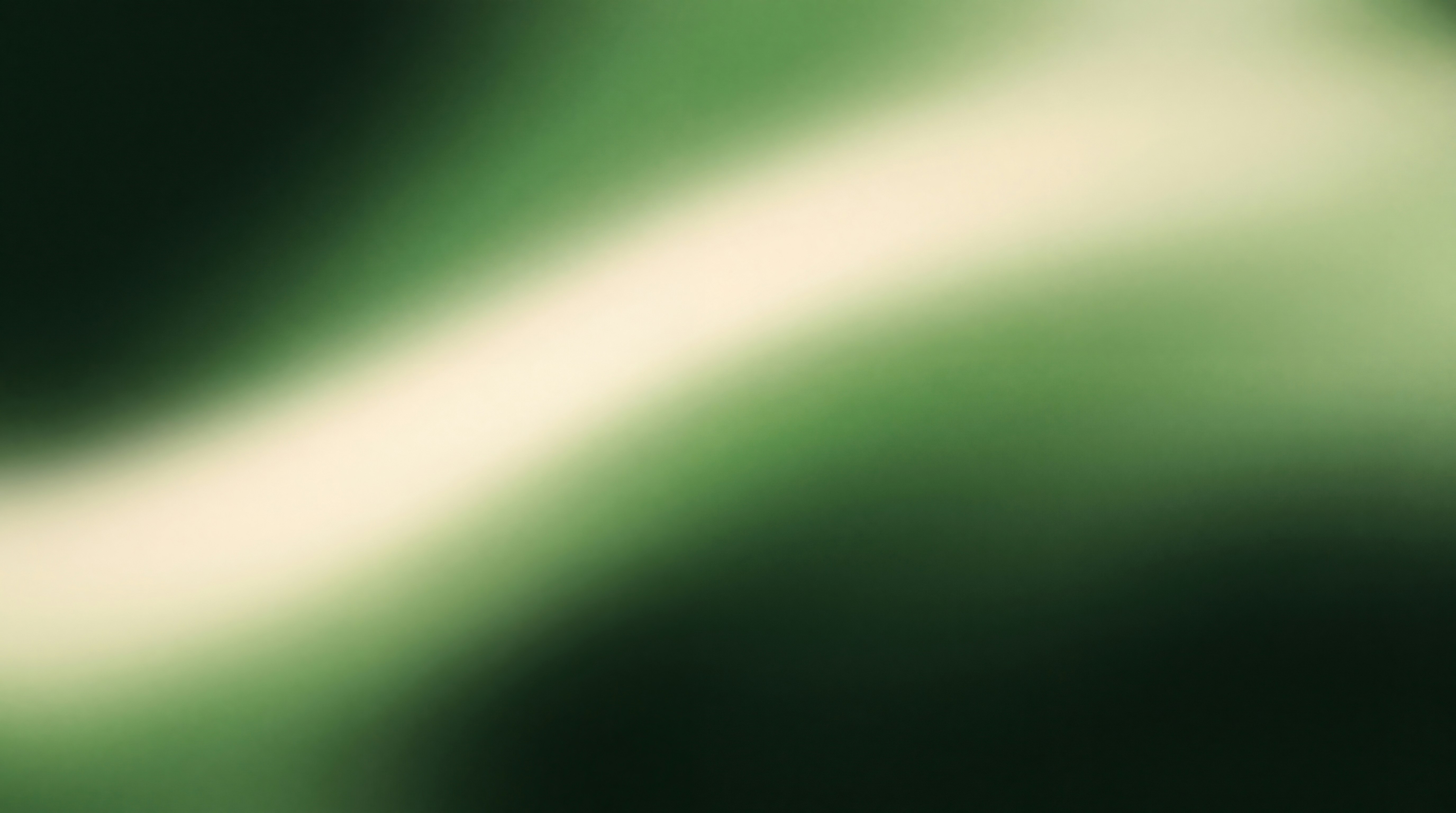 Diagonal light beam on green - Free Photo on Unsplash