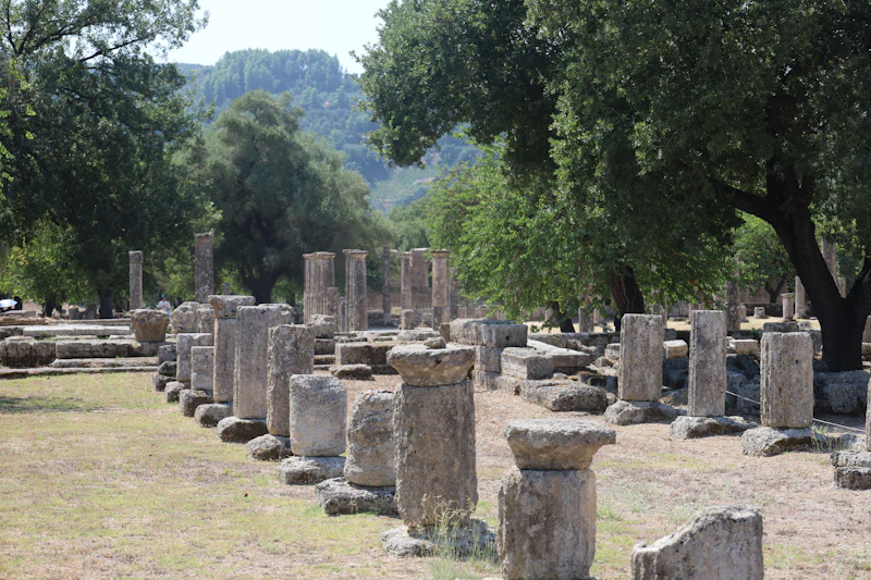 Rows of column drums under the trees at Olympia