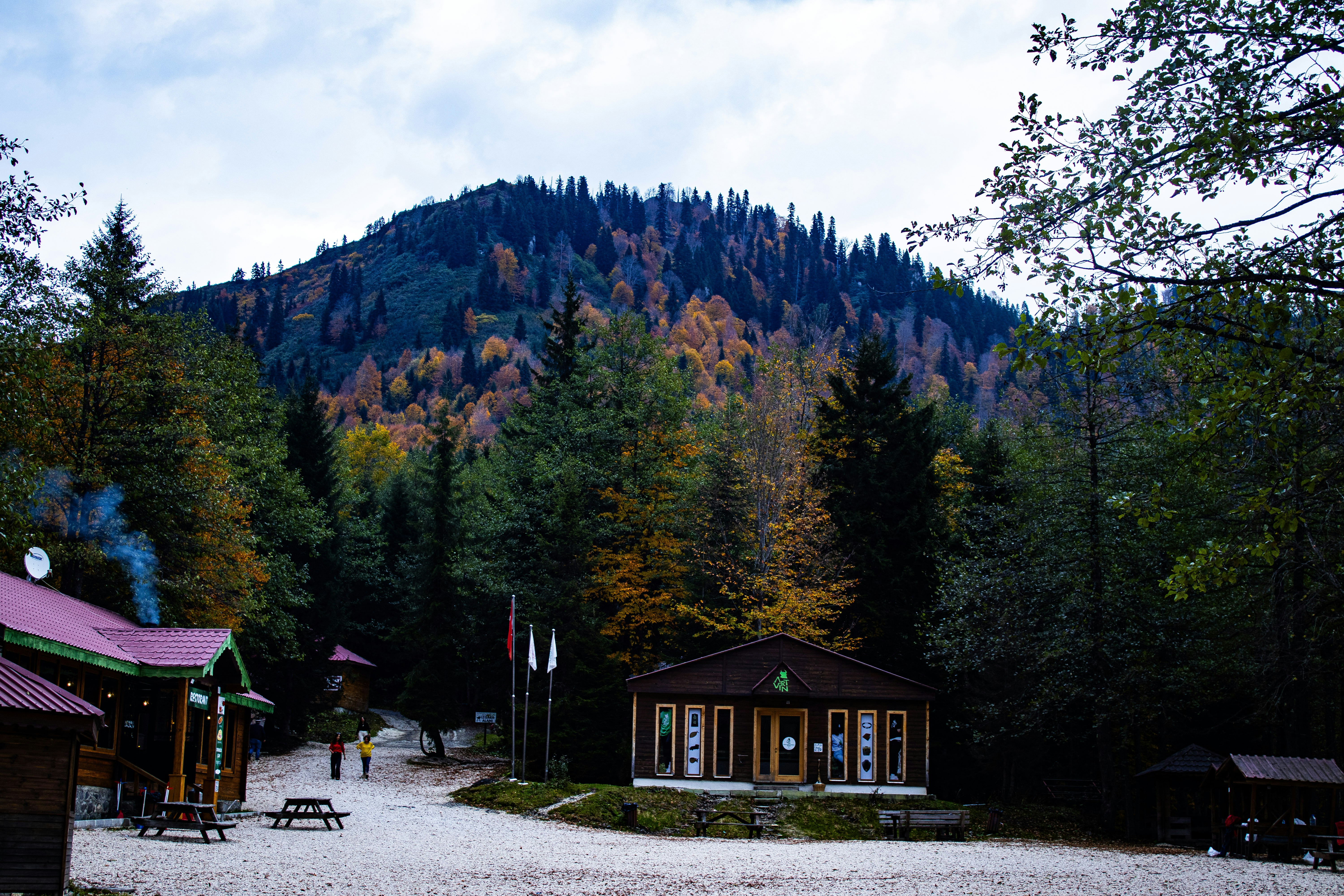 Wooden building in autumn forest - Free Photo on Unsplash