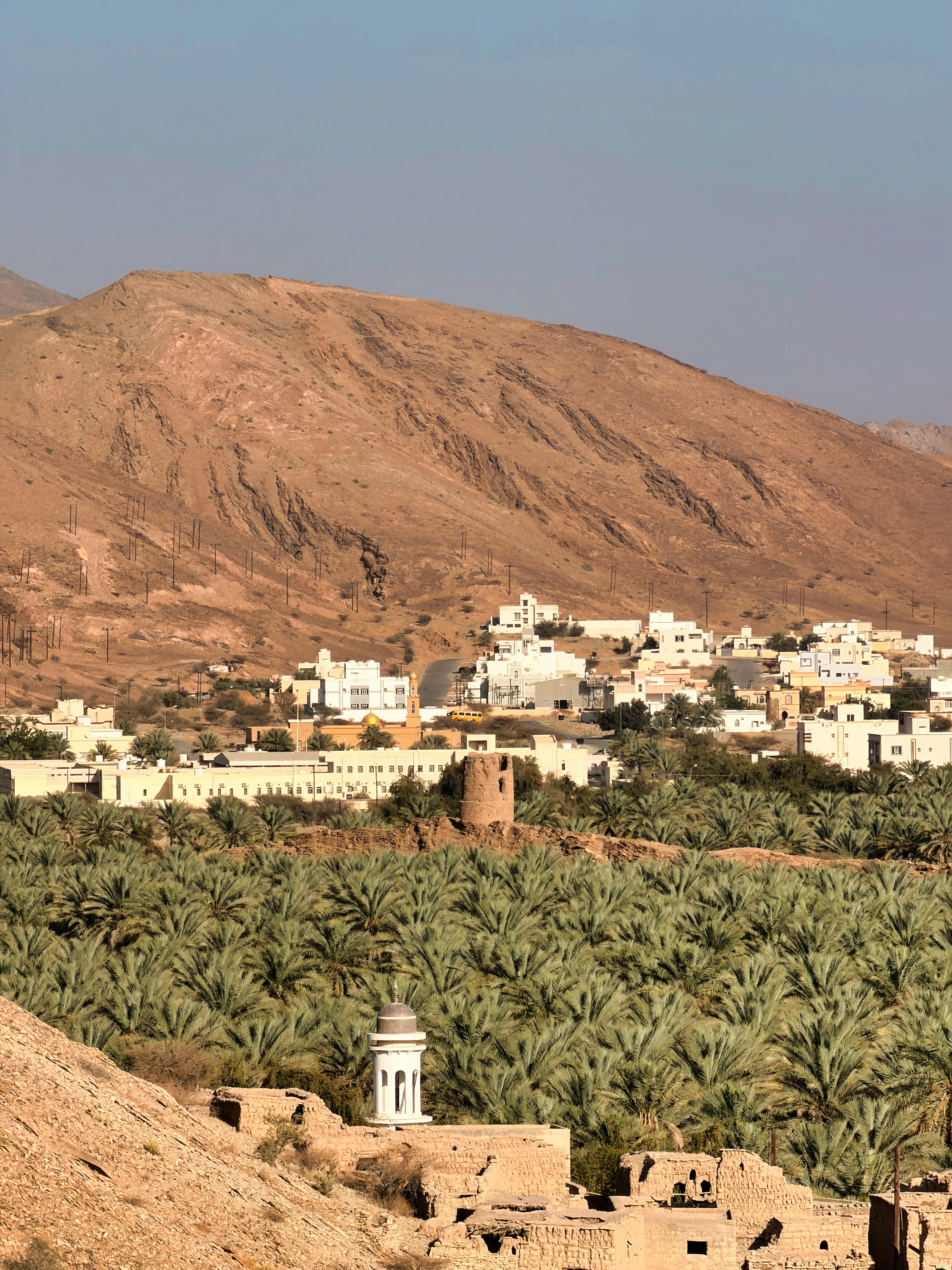 Palm grove and town below mountain - Free Photo on Unsplash