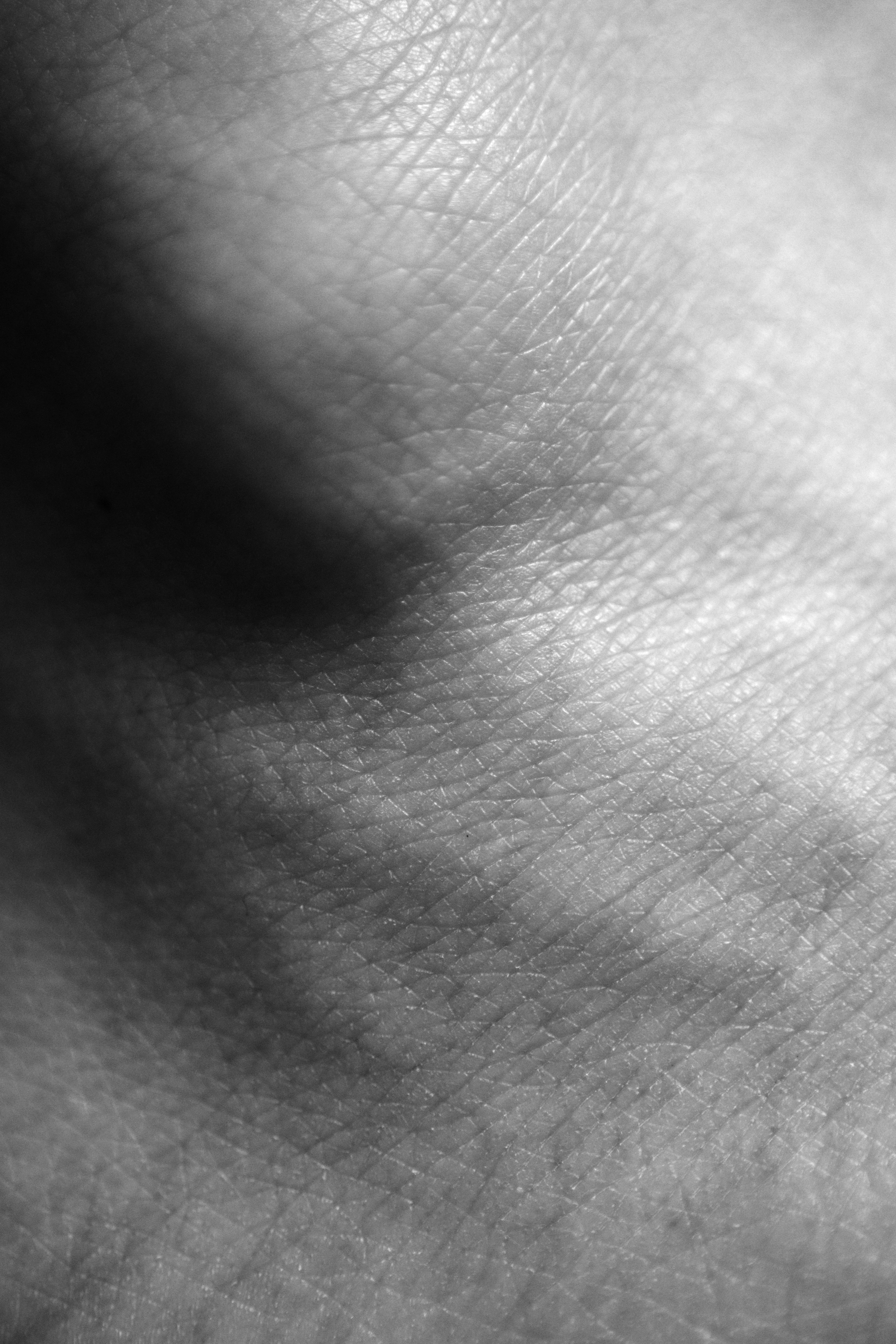Human skin texture in black and white - Free Photo on Unsplash