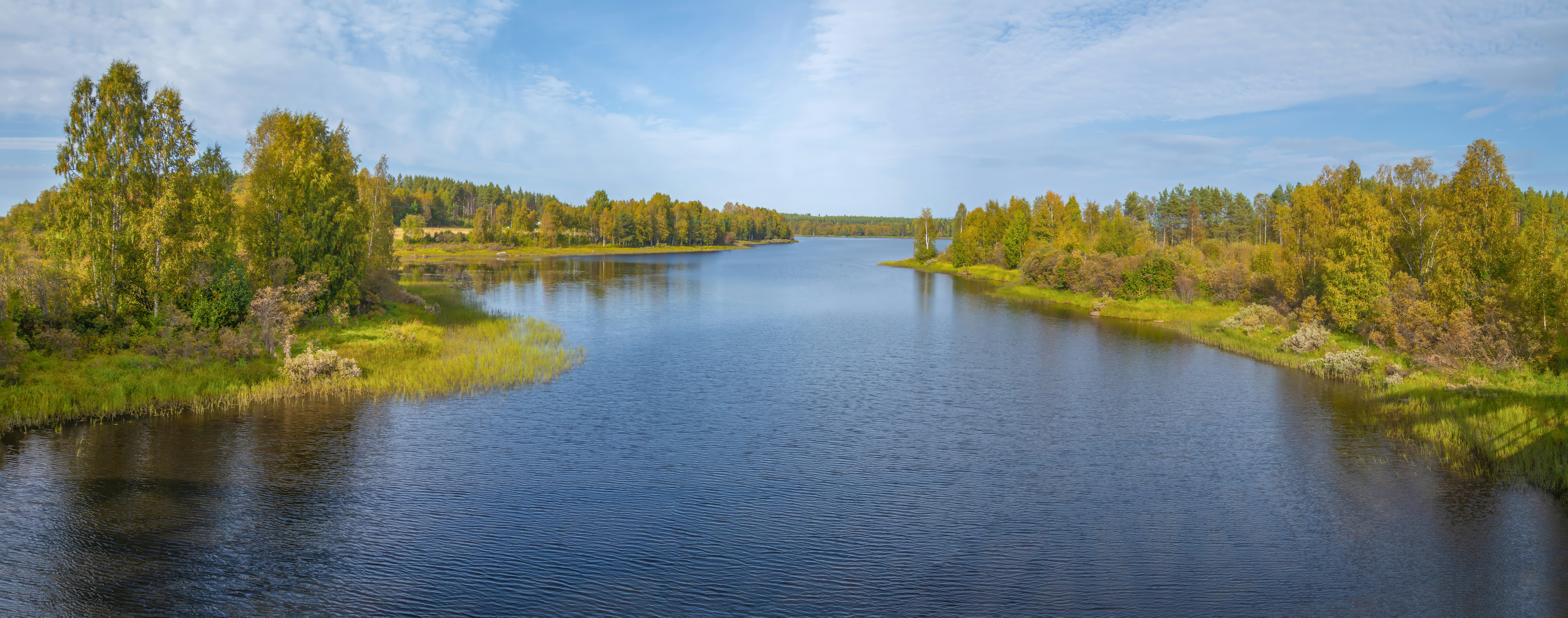 River flowing through autumn forest - Free Photo on Unsplash