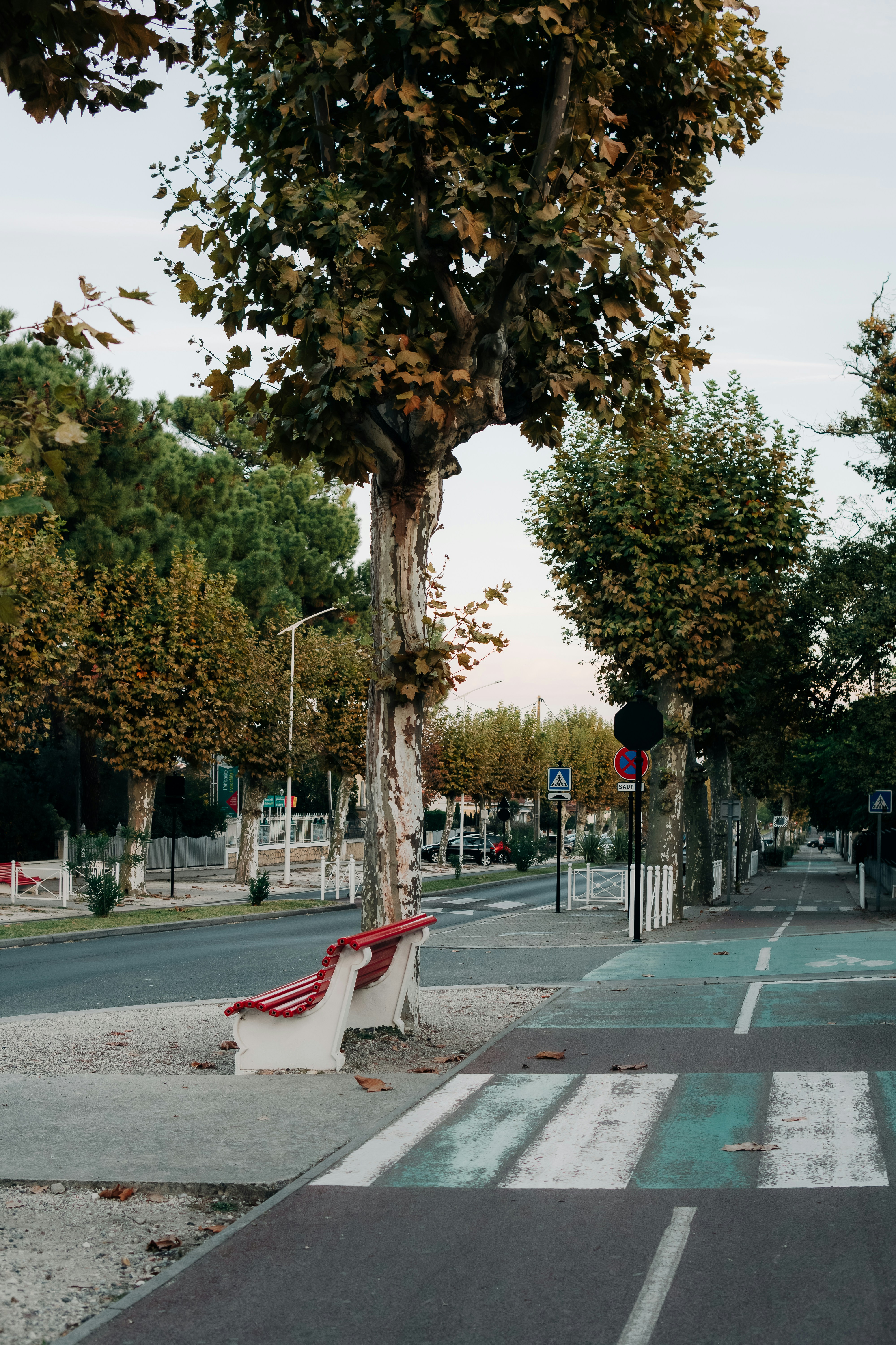 Rue arborée avec un banc rouge