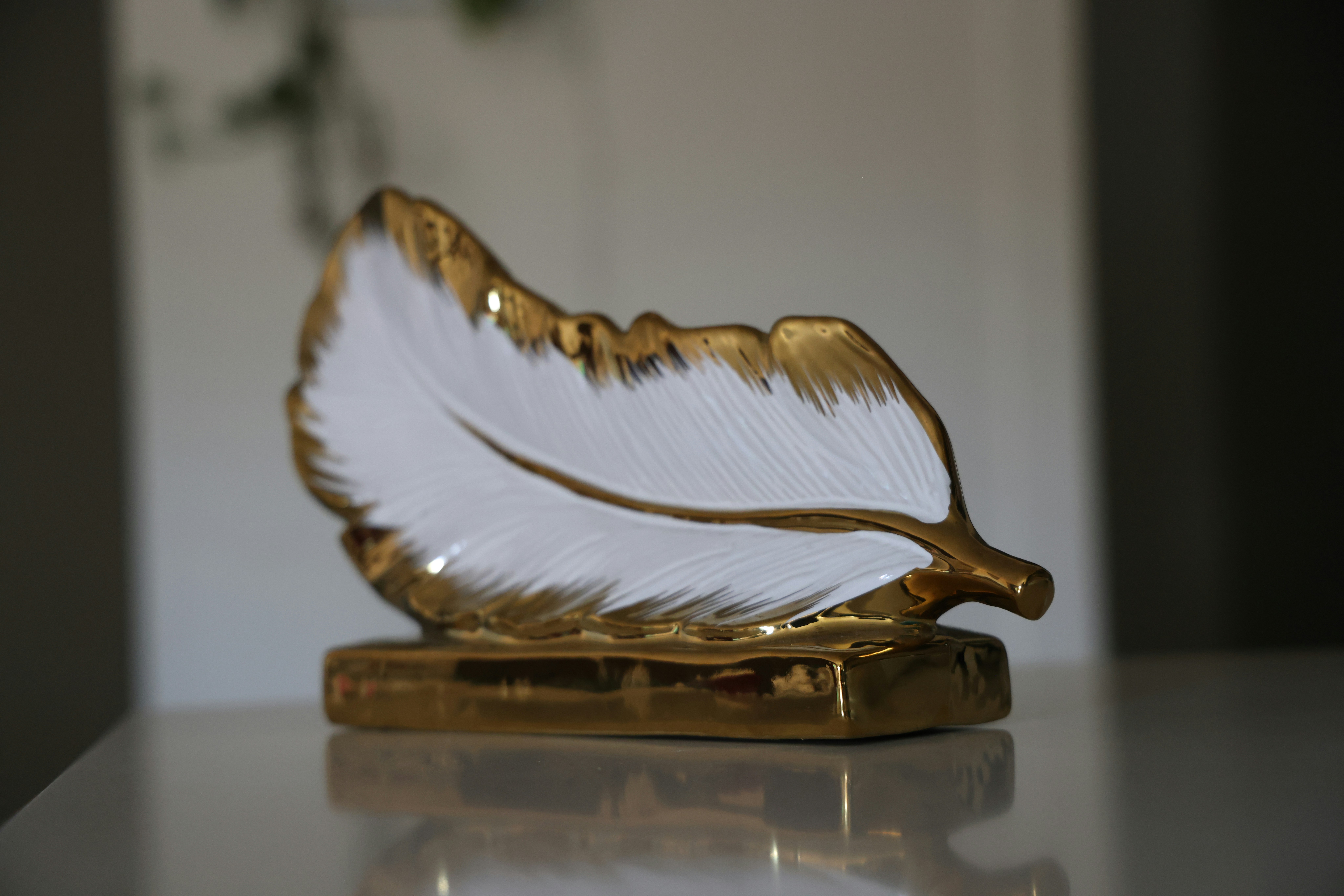 White and gold feather ornament - Free Photo on Unsplash