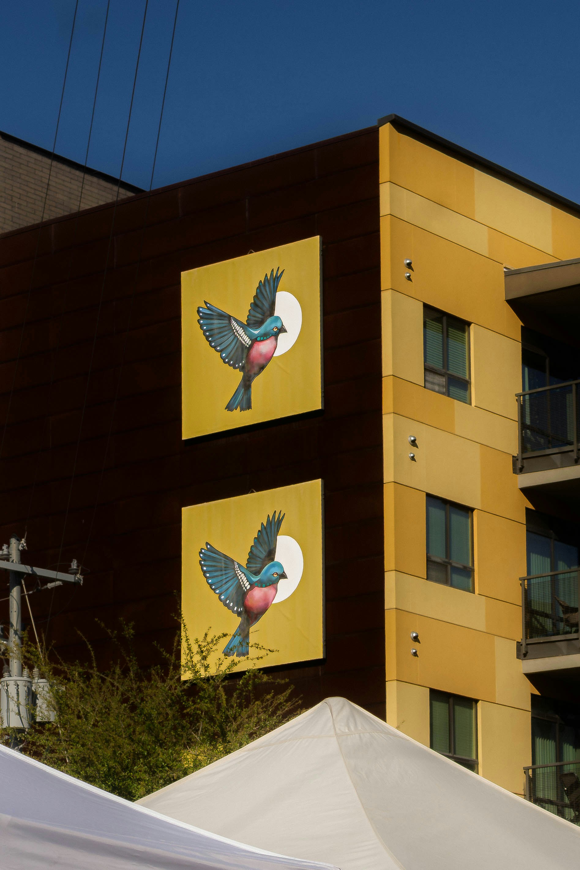 Bird murals on brown building facade - Free Photo on Unsplash