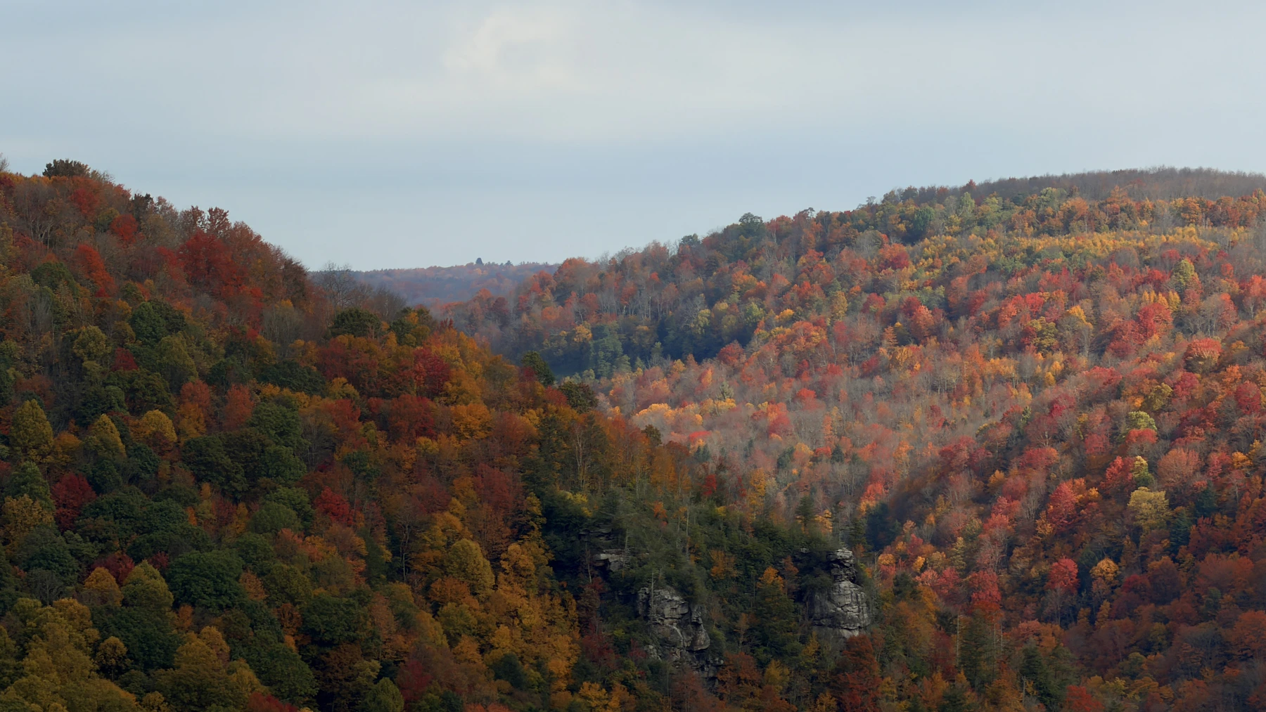 Autumn foliage covering forested hills