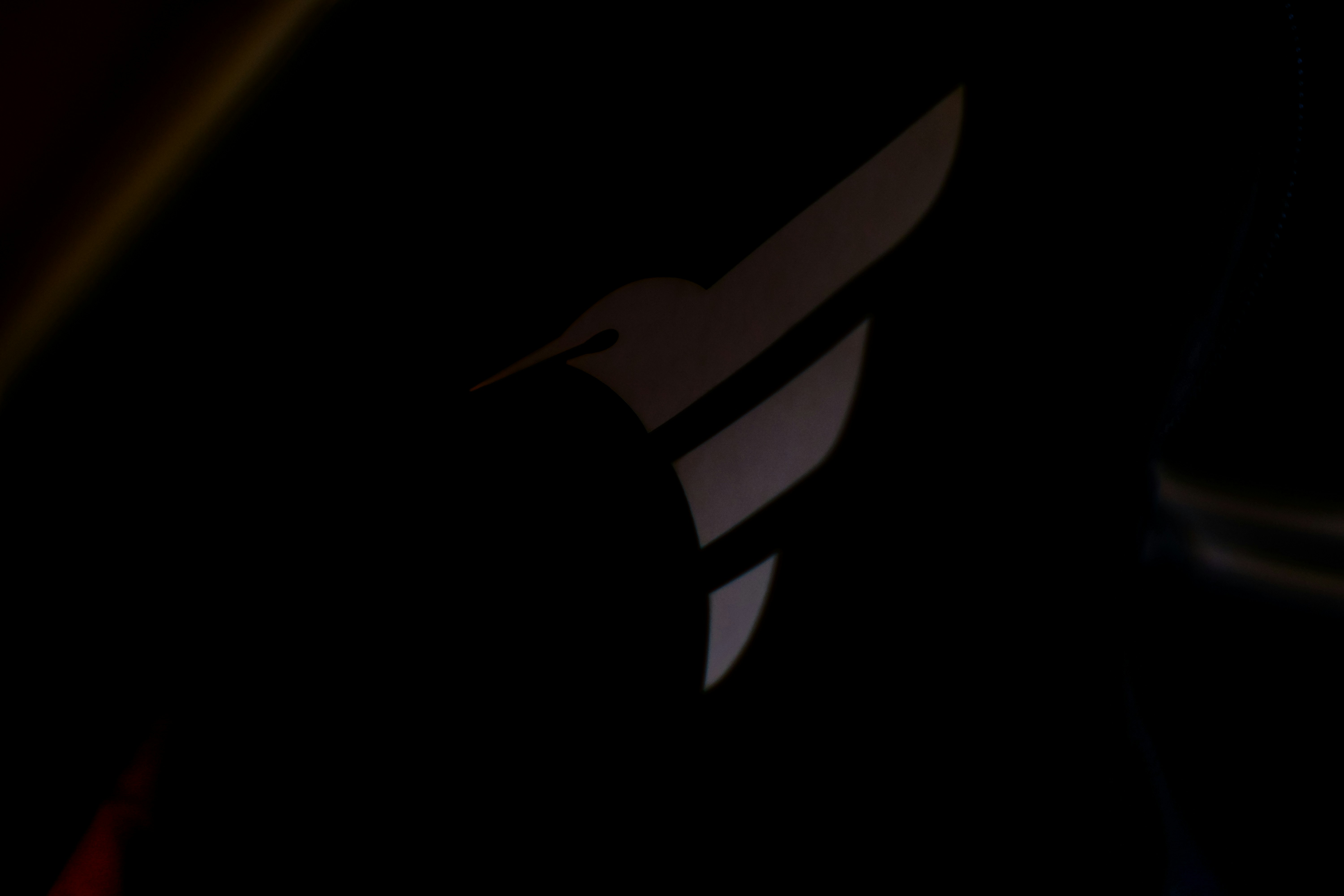 Hummingbird logo on black background - Free Photo on Unsplash