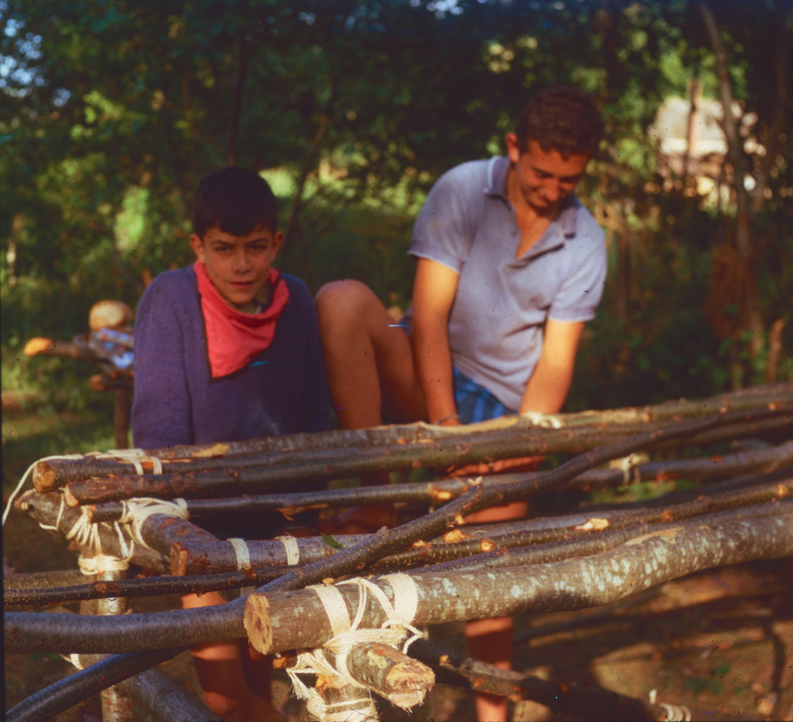 Boys building structure with wooden branches - Free Photo on Unsplash
