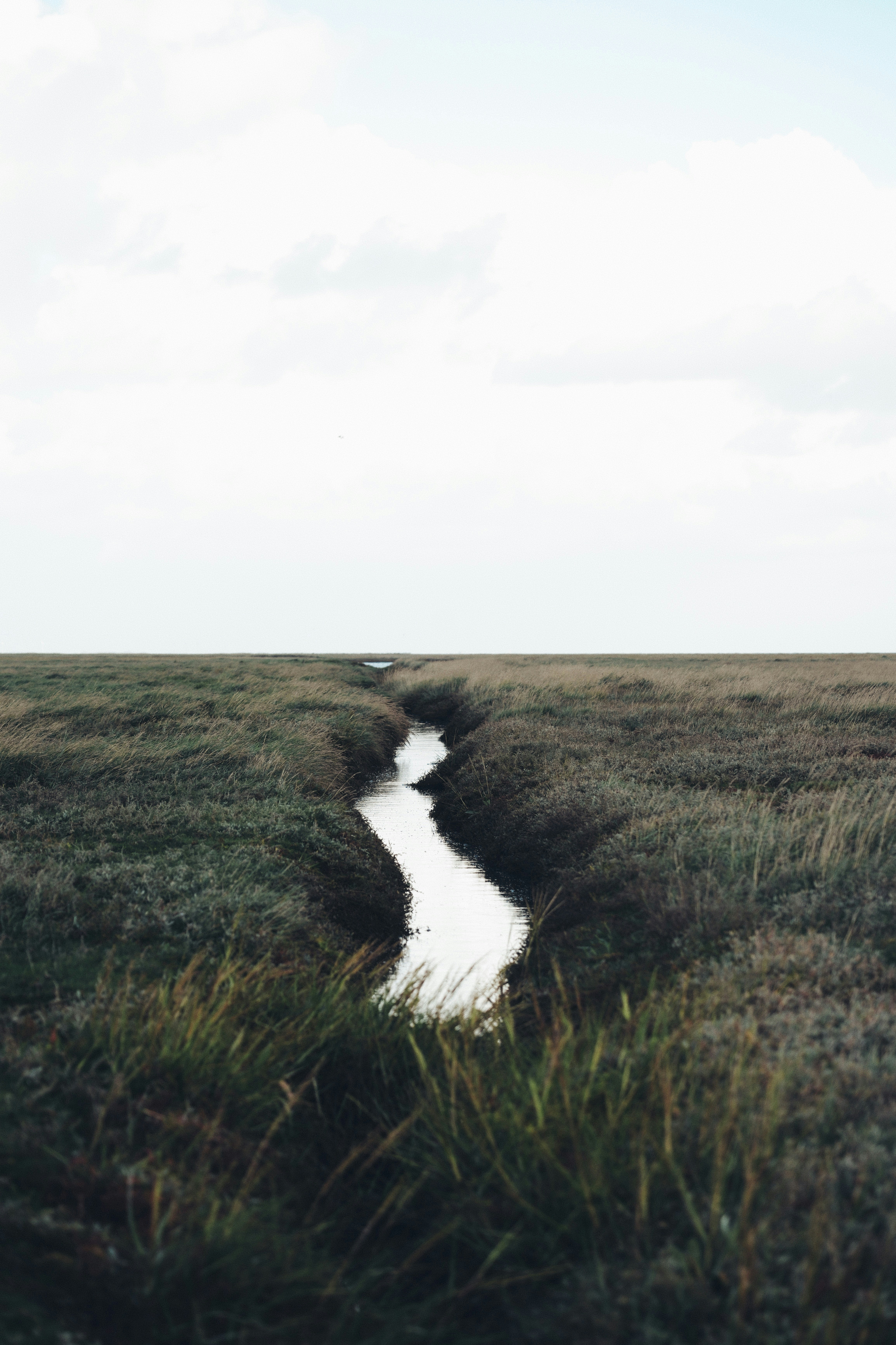 Vastness