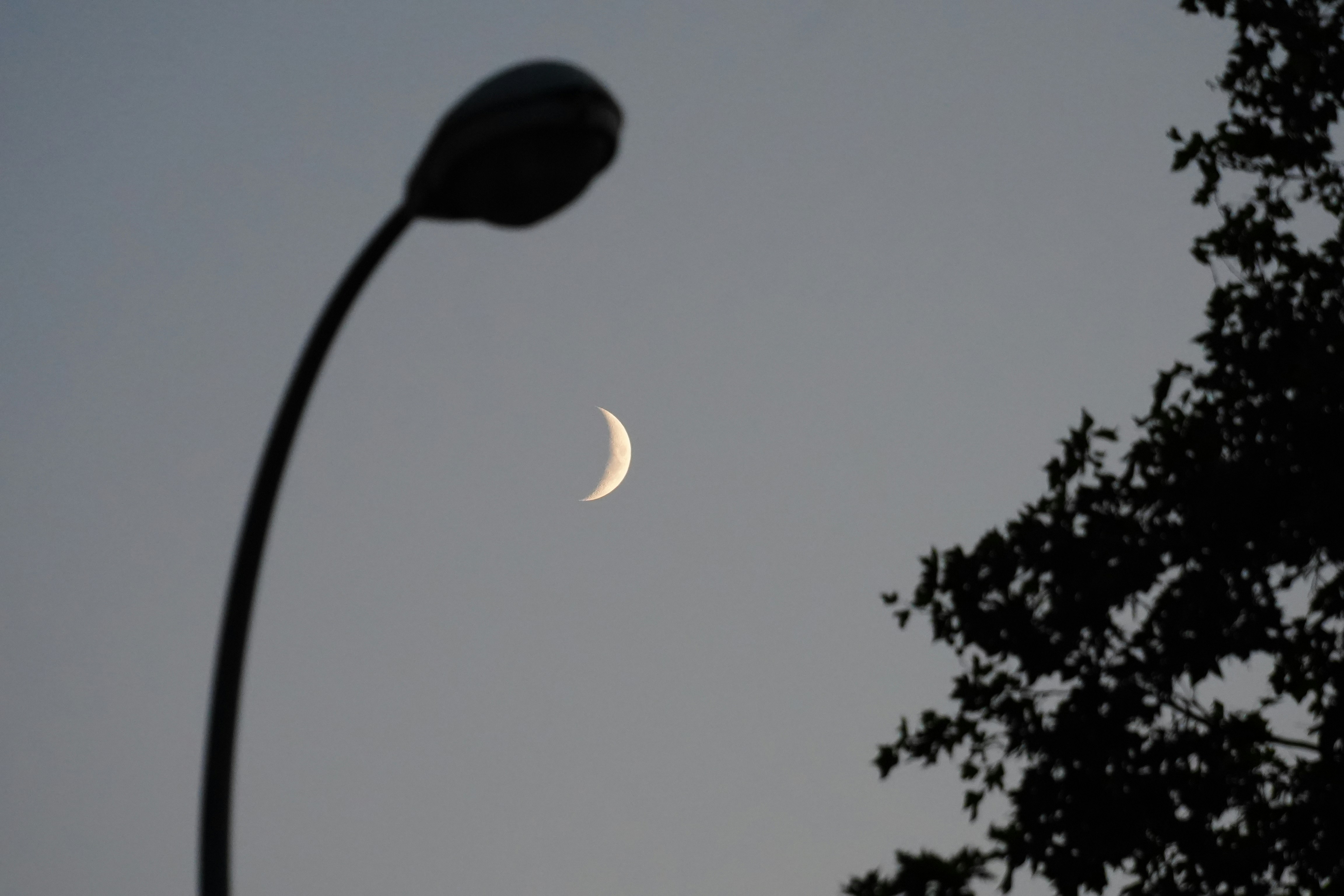 Crescent moon with silhouetted street lamp - Free Photo on Unsplash