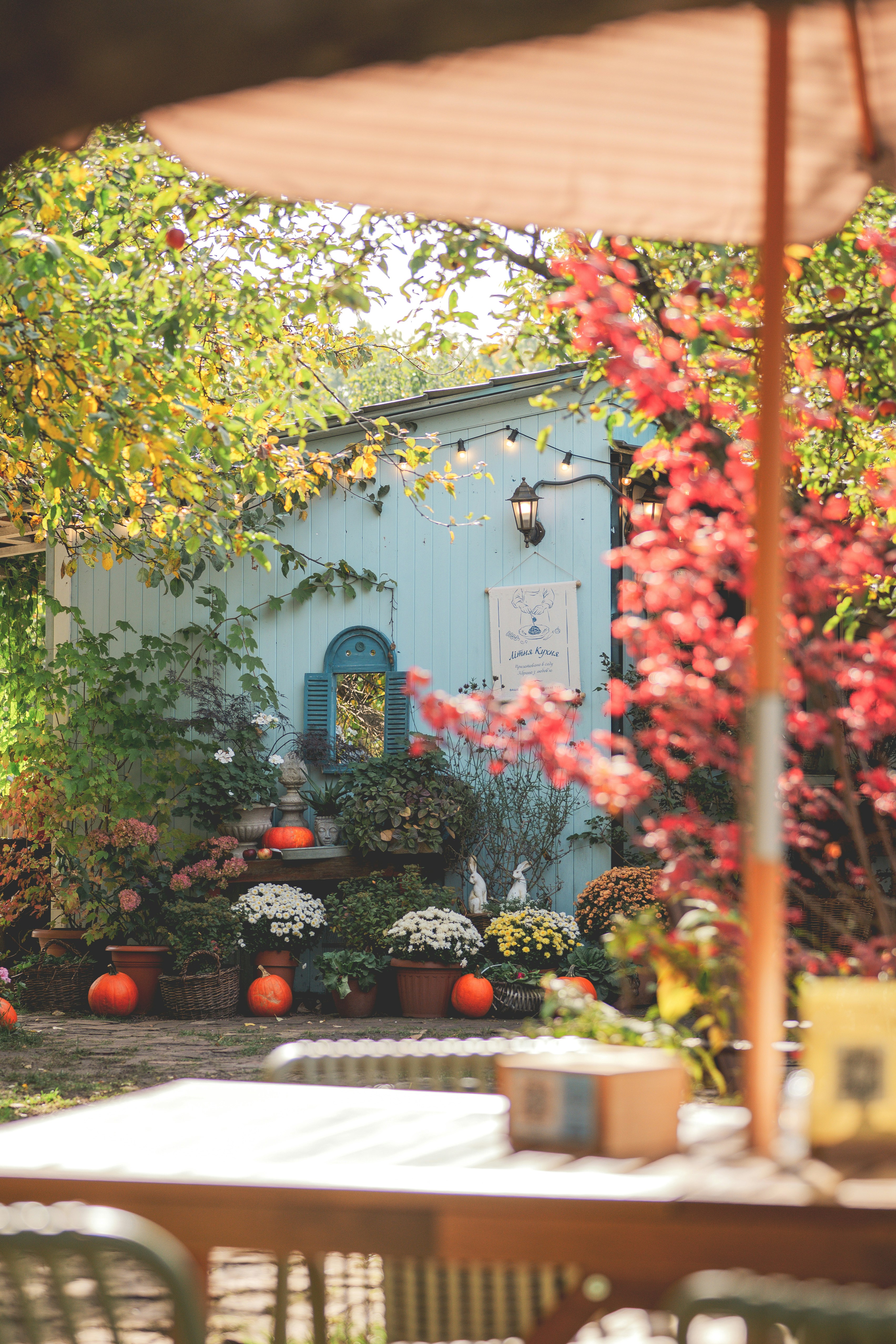 Blue garden shed with autumn decor - Free Photo on Unsplash