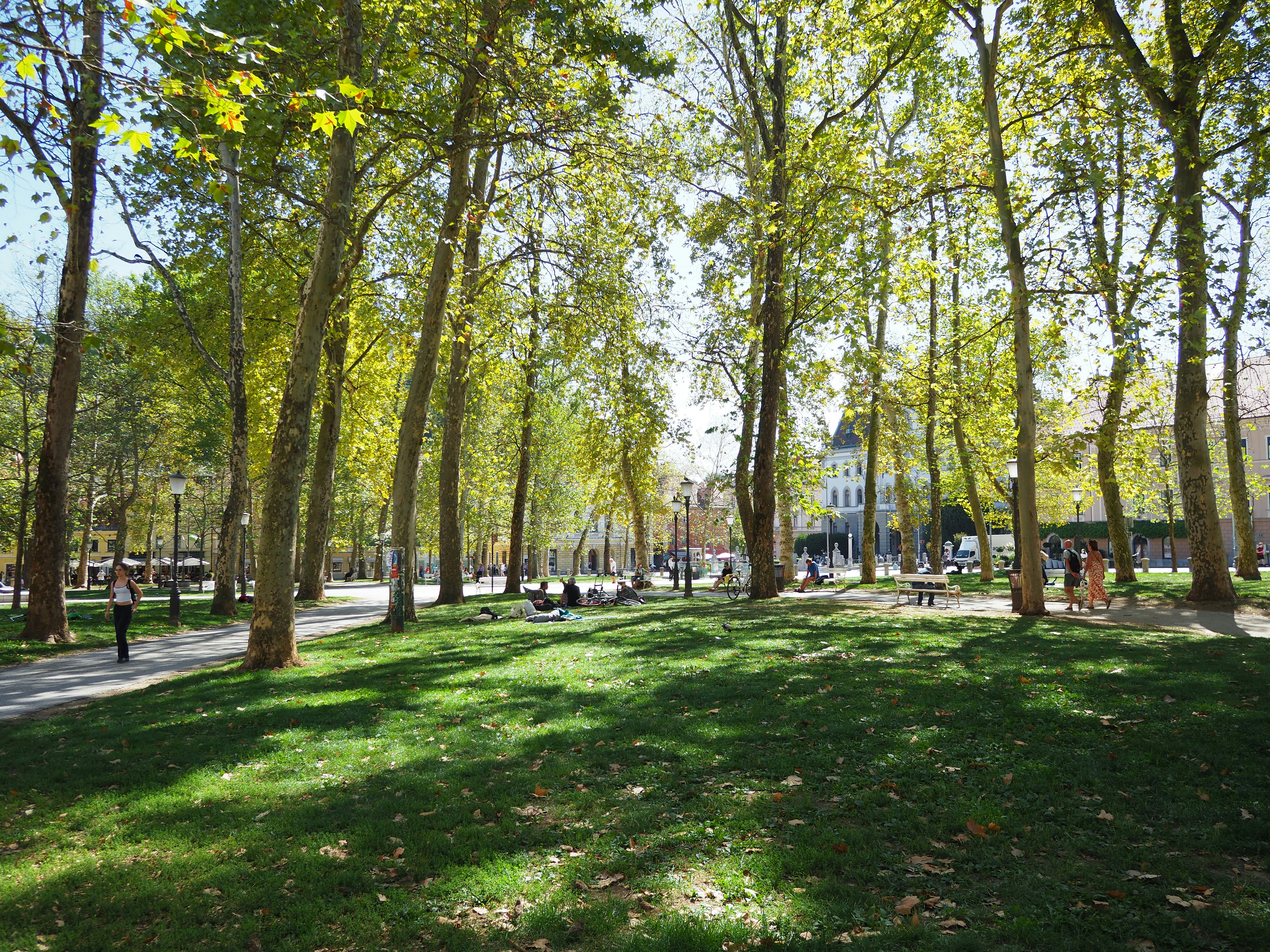 Parkfenntartás és zöldterület gondozás