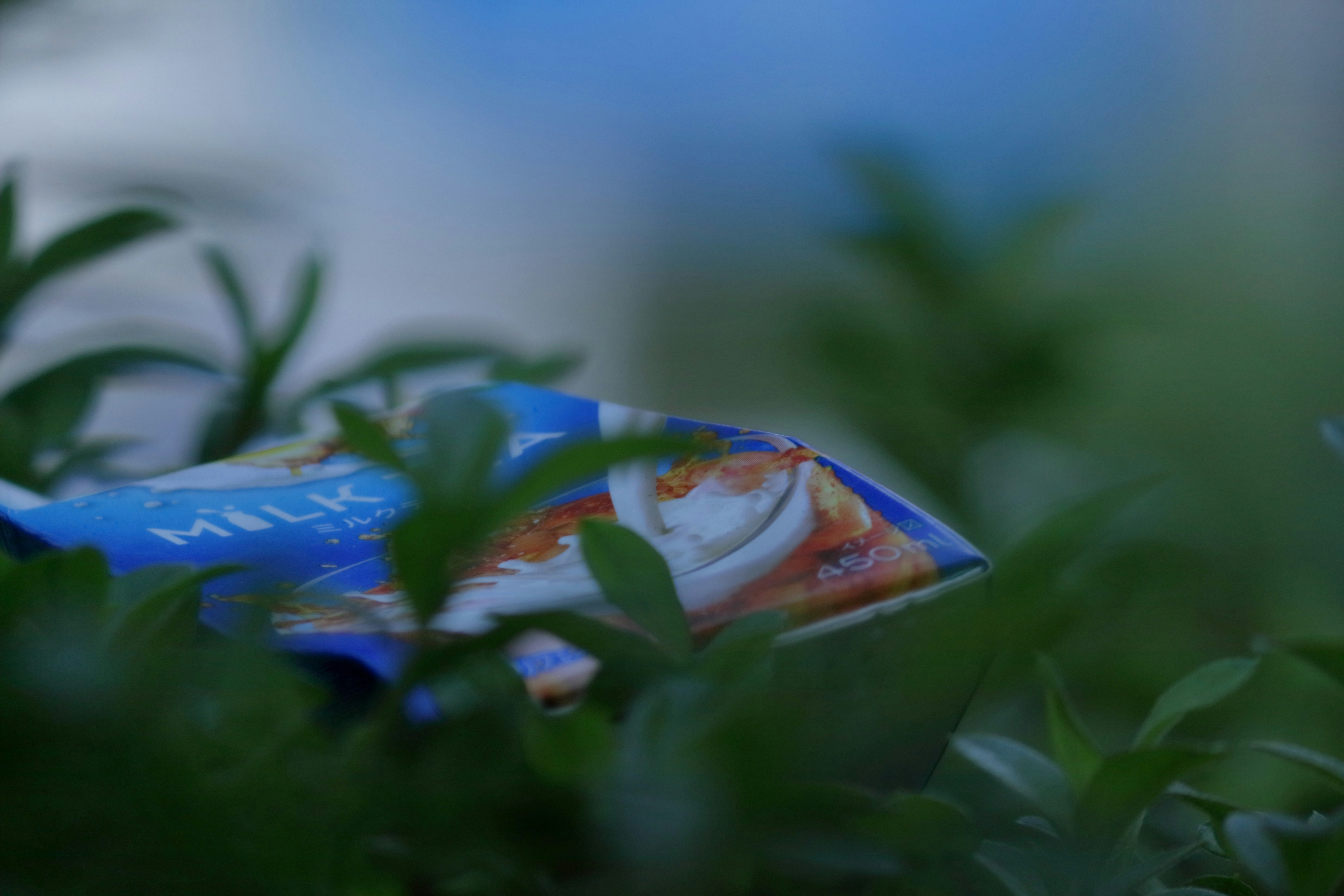 A blue milk carton partially obscured by green leaves in soft focus