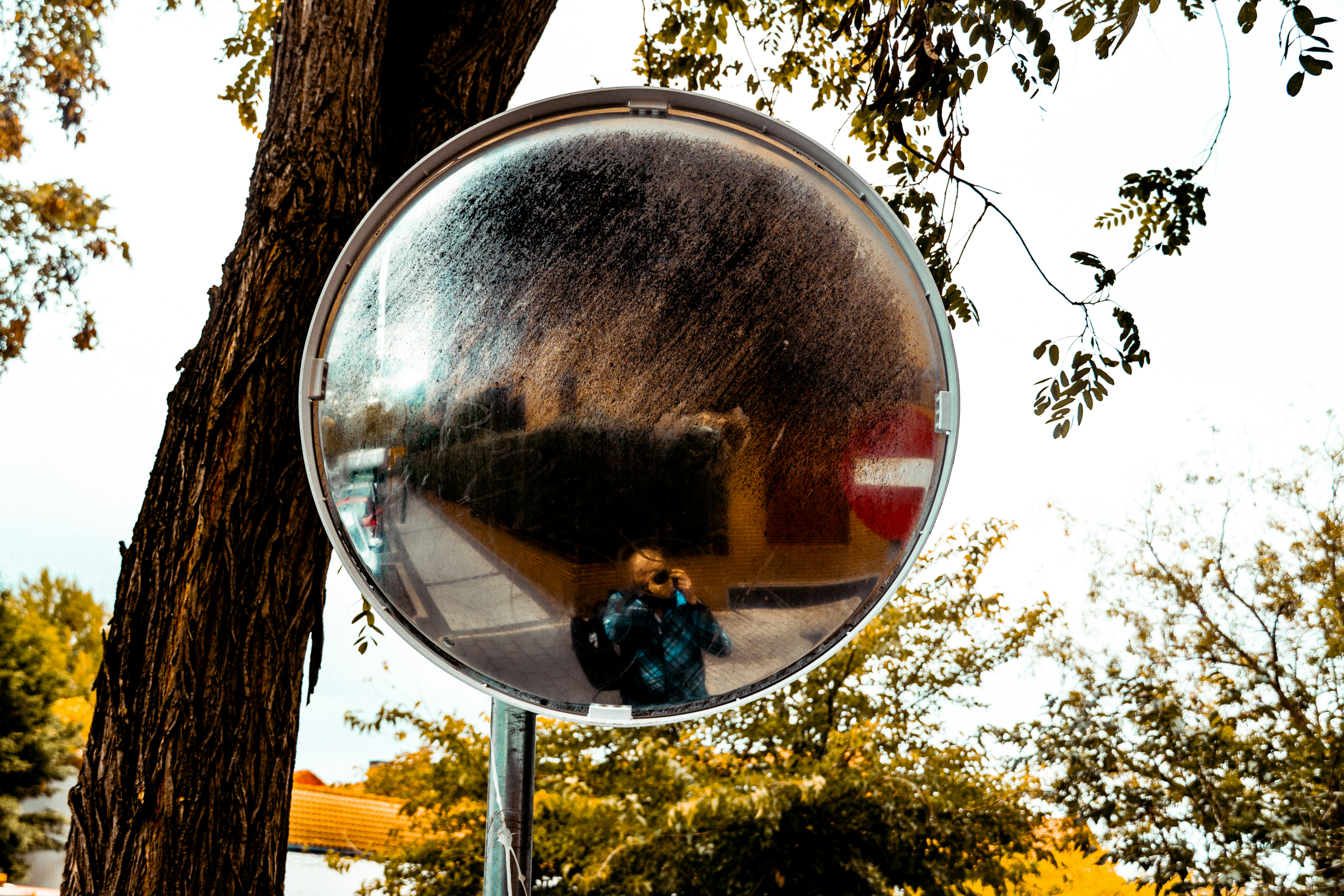 Person reflected in convex traffic mirror - Free Photo on Unsplash